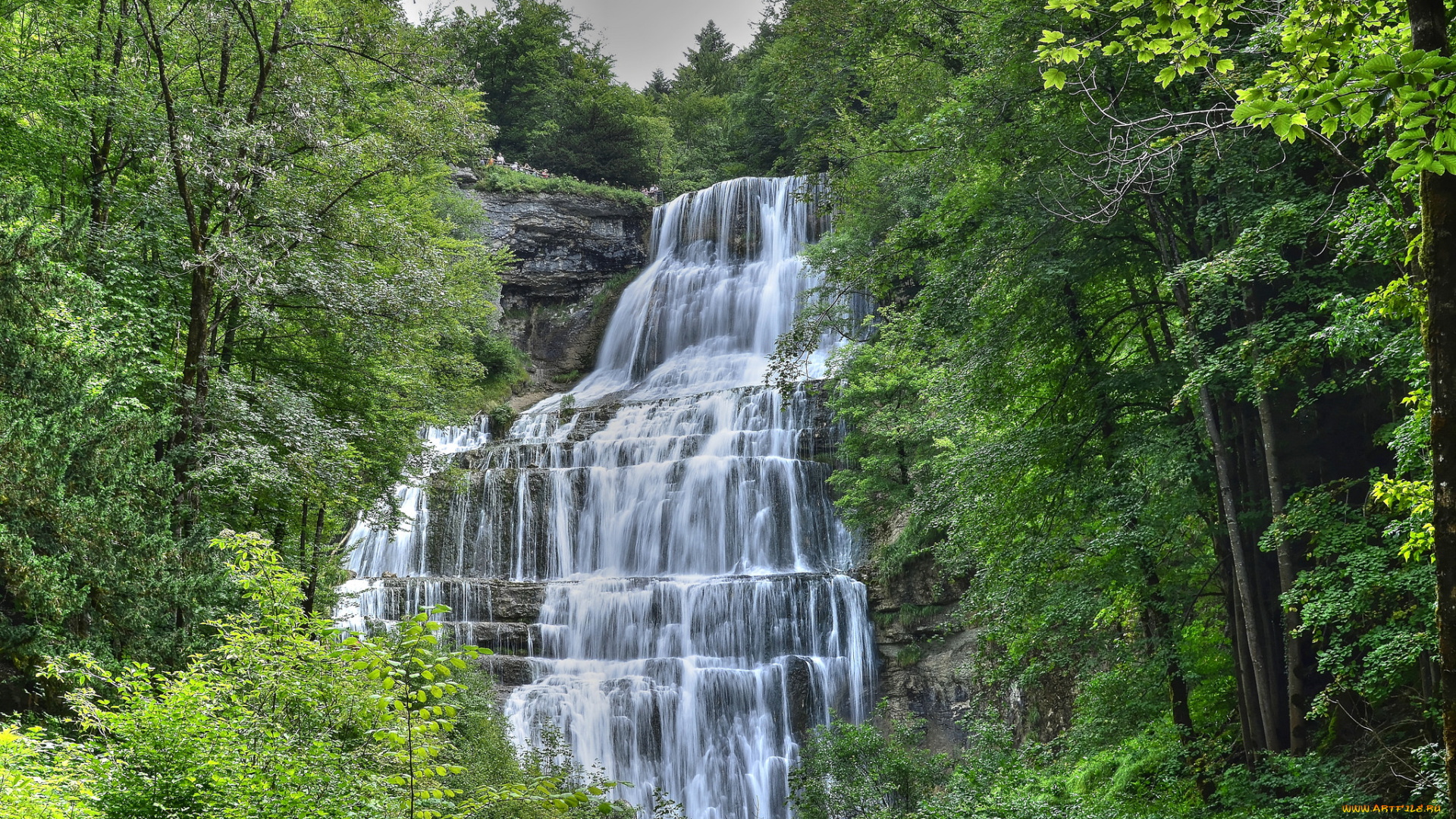 природа, водопады, лес, река, водопад