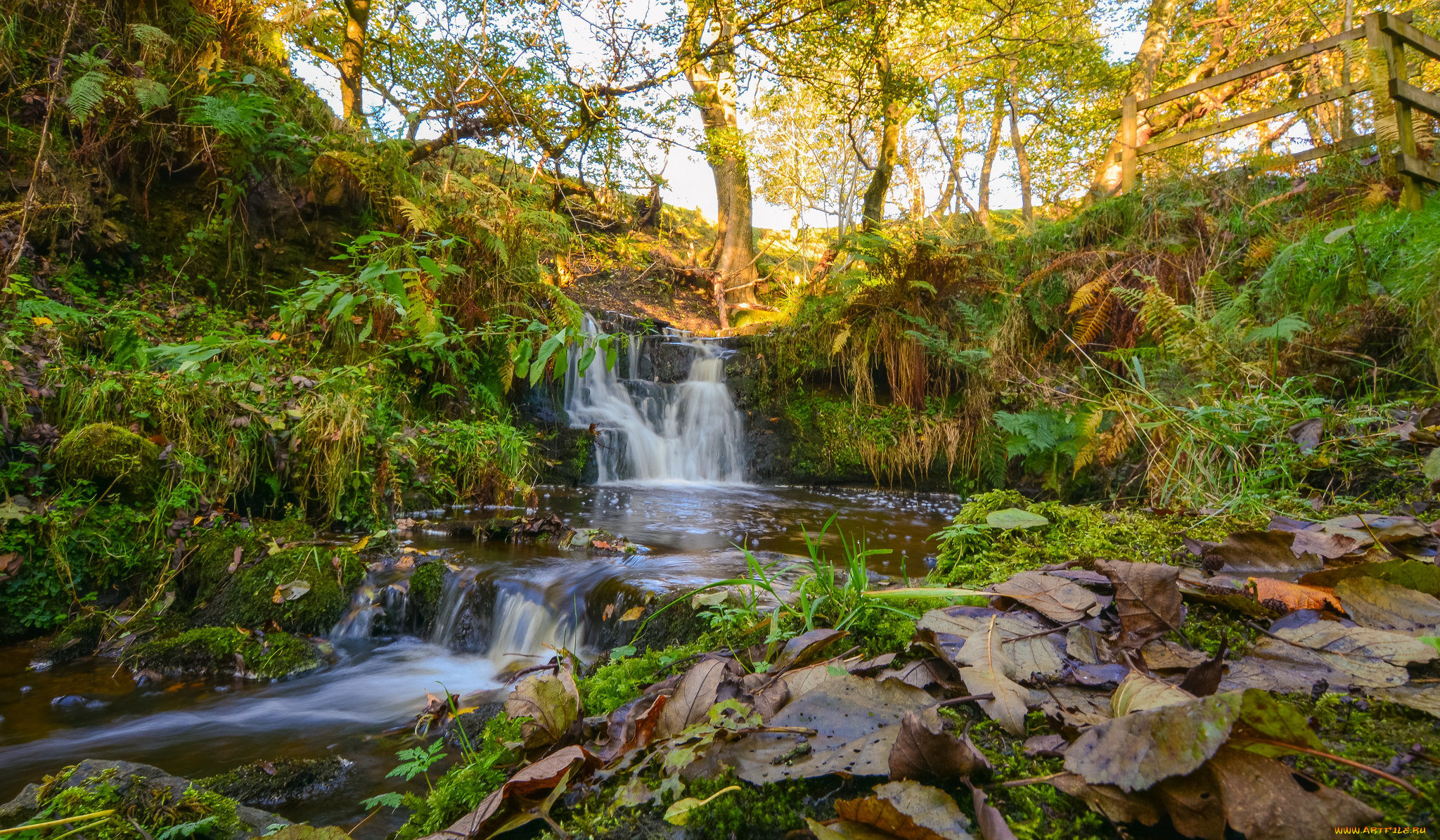 природа, водопады, лес, река, водопад