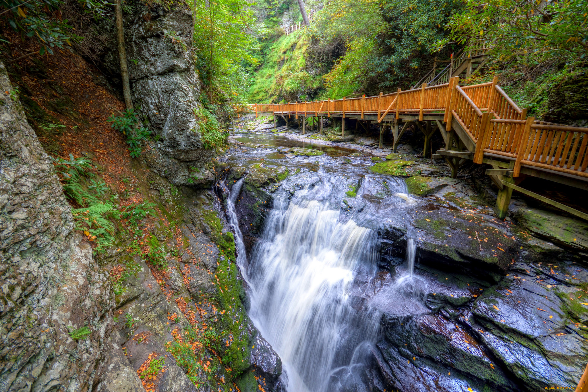 природа, водопады, лес, река, водопад