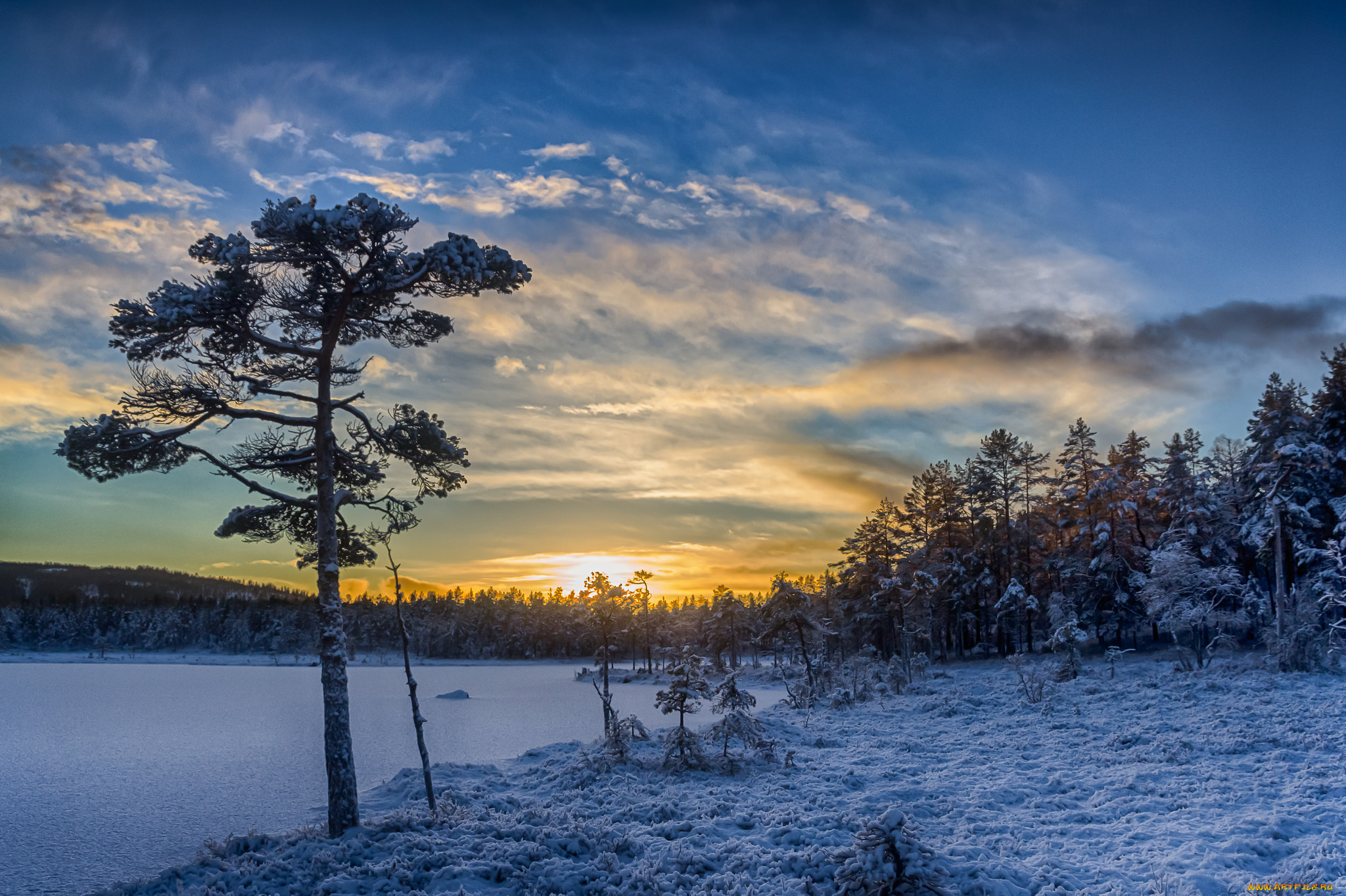 природа, зима, снег