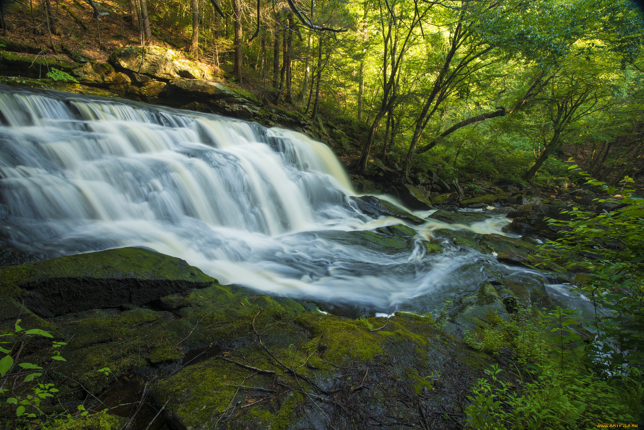 природа, водопады, лес, река, водопад