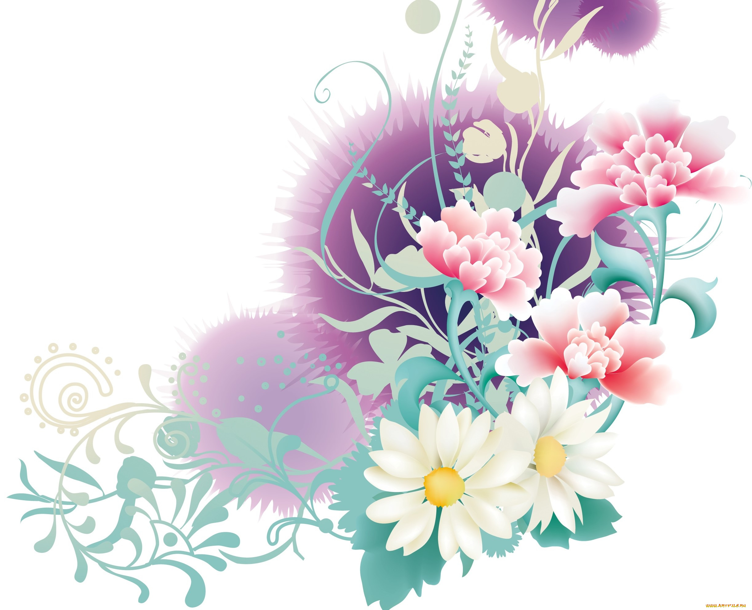 векторная, графика, цветы, , flowers, фон, цветы