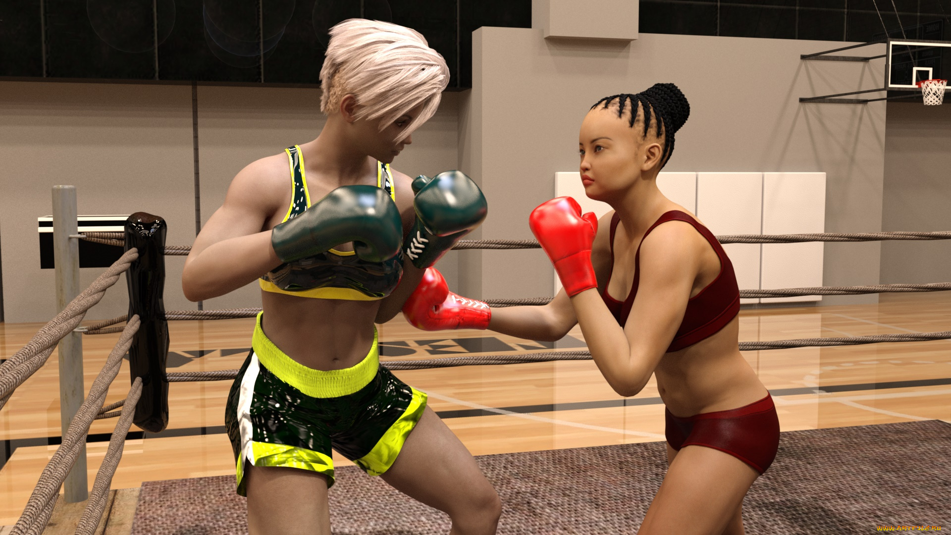 3д, графика, спорт, , sport, бокс, ринг, фон, взгляд, девушки
