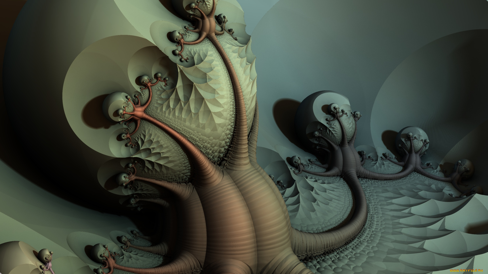 3д, графика, абстракция, , abstract, фон, цвет, узор