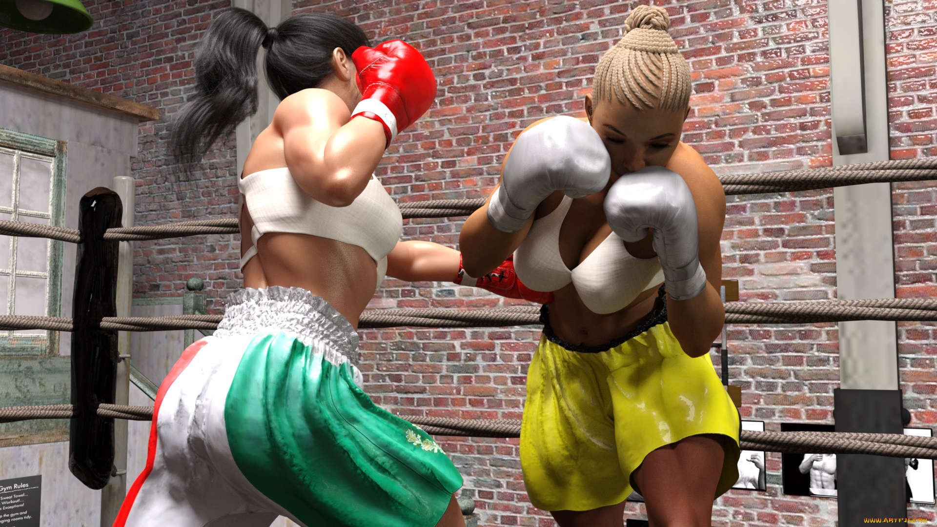 3д, графика, спорт, , sport, бокс, ринг, фон, взгляд, девушки