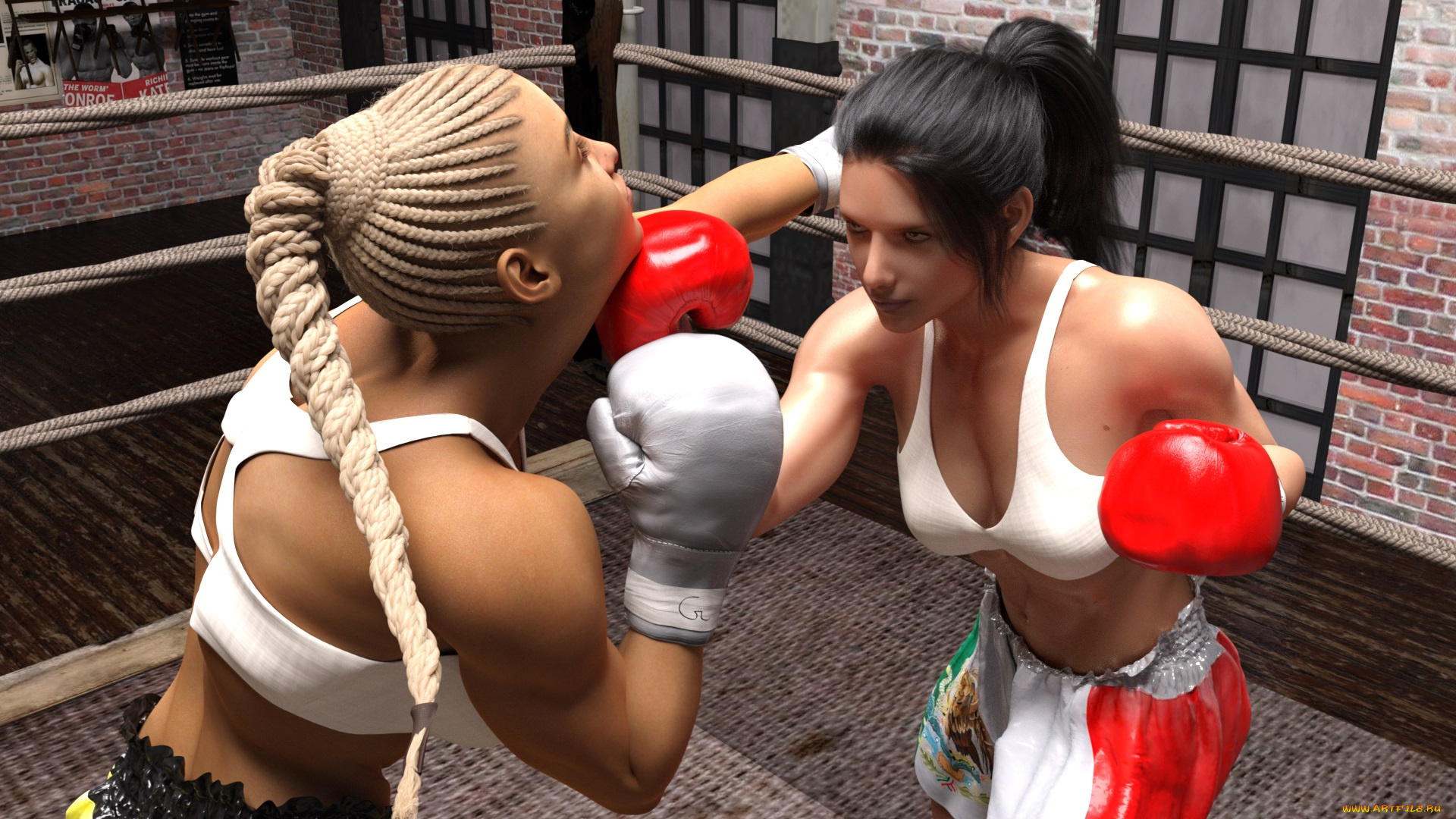 3д, графика, спорт, , sport, фон, взгляд, бокс, ринг, девушки
