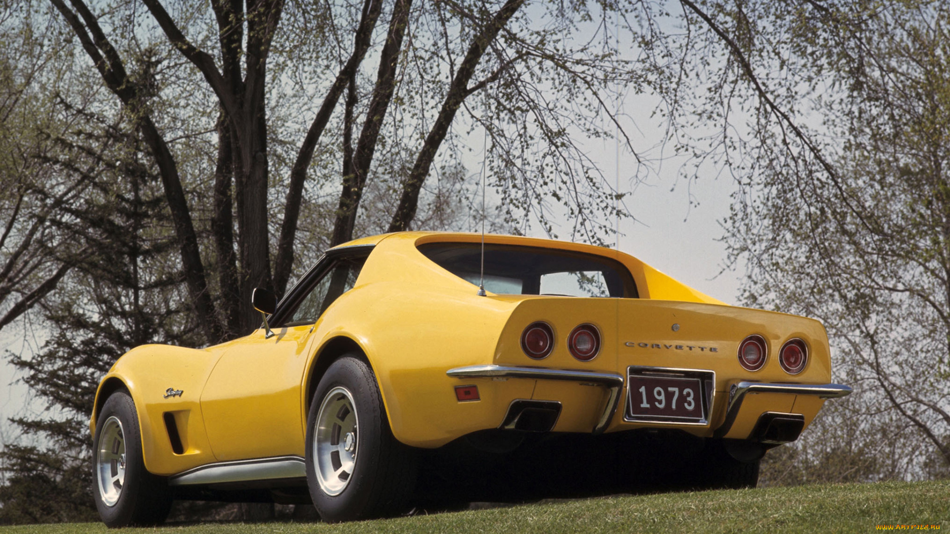 автомобили, corvette