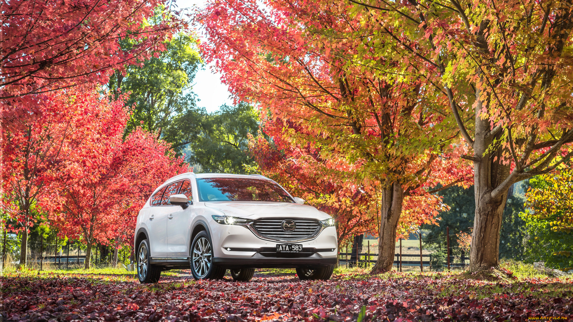 автомобили, mazda