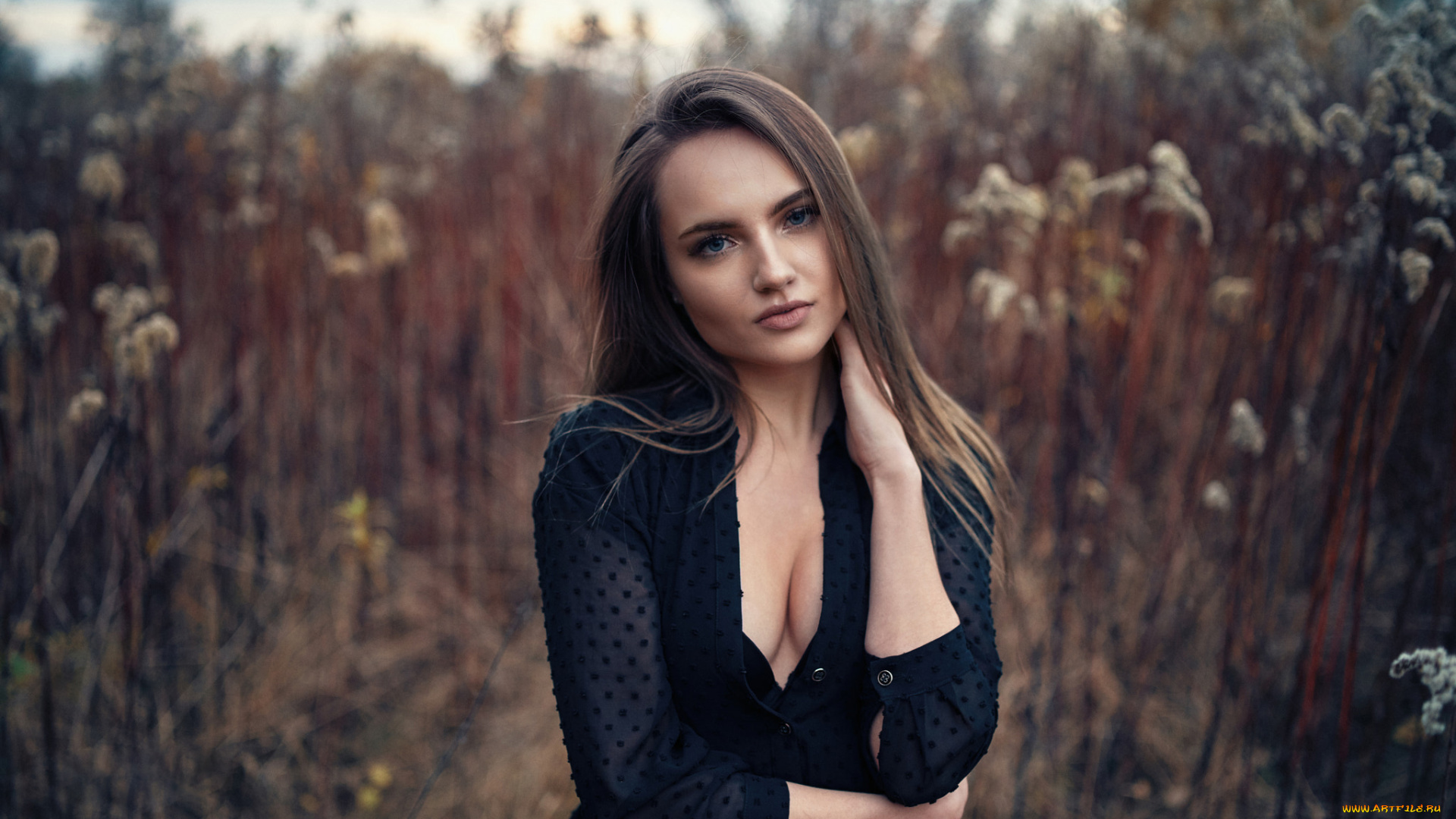 девушка, девушки, -unsort, , брюнетки, темноволосые, модель