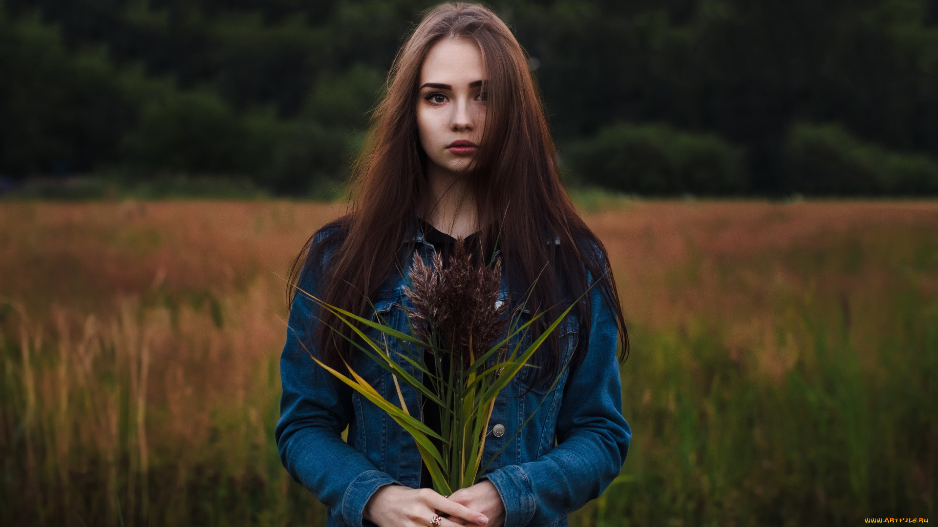 девушка, девушки, -unsort, , брюнетки, темноволосые, модель