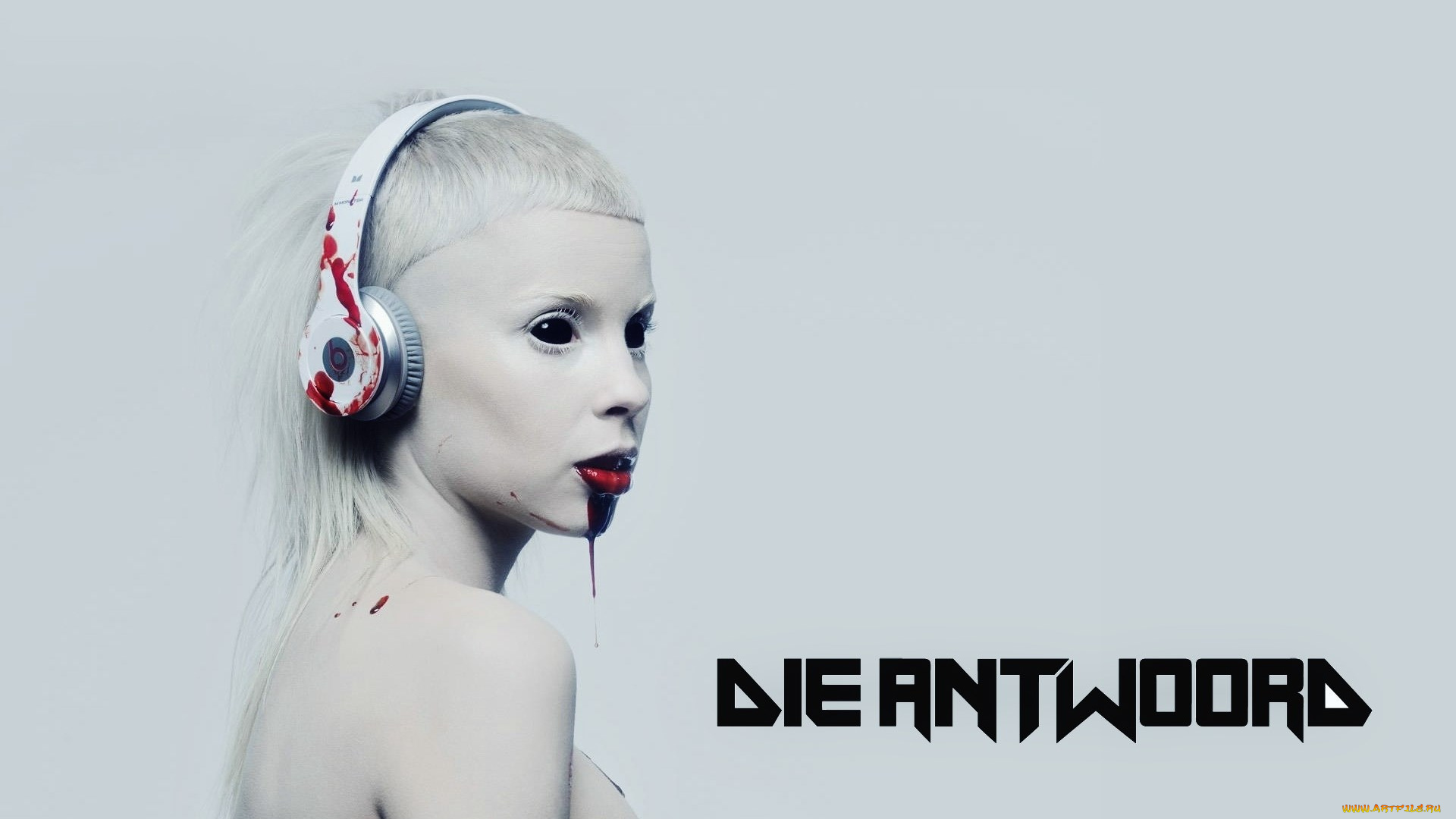 die-antwoord, музыка, die, antwoord, музыкант