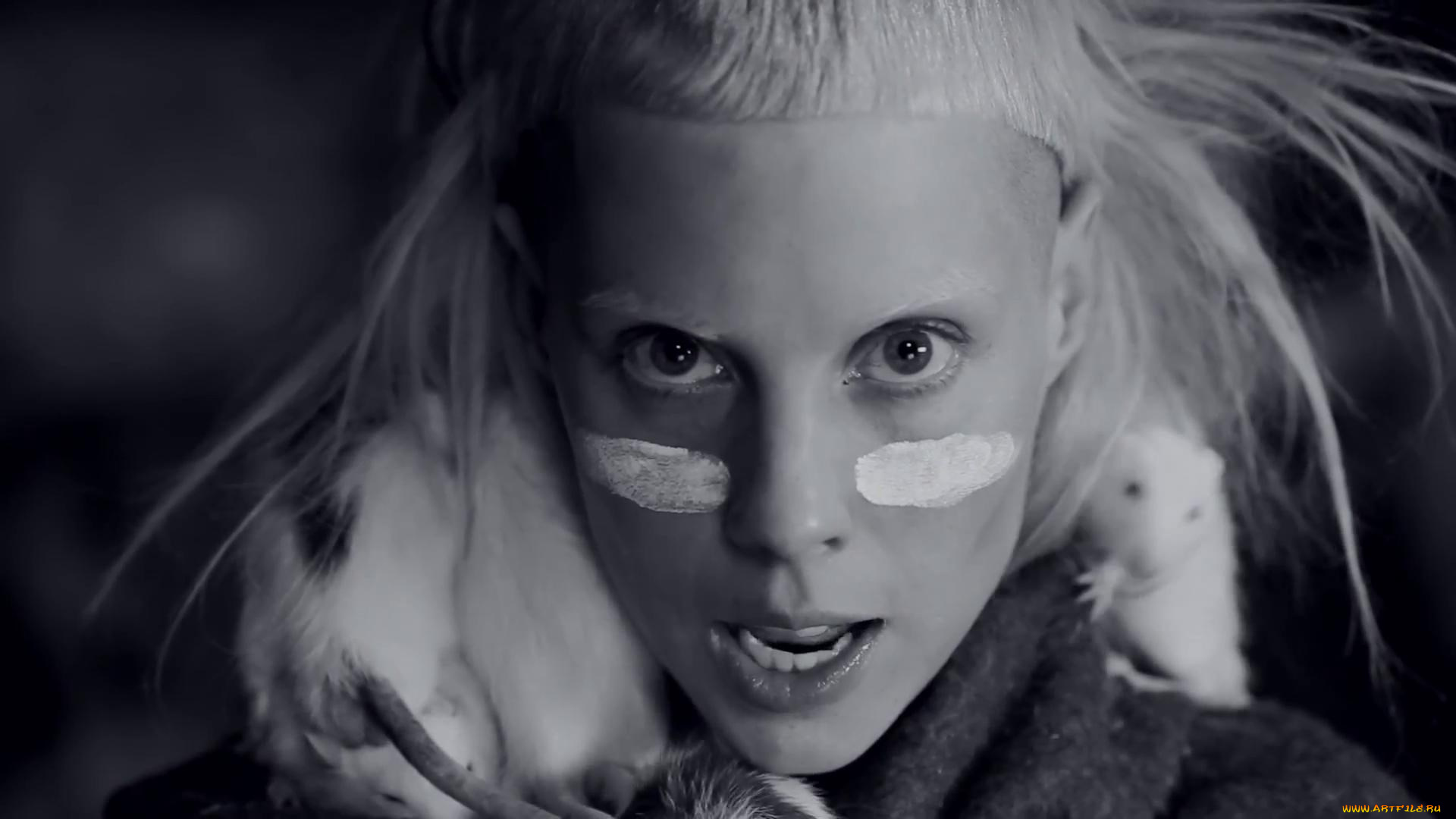 die-antwoord, музыка, die, antwoord, музыкант