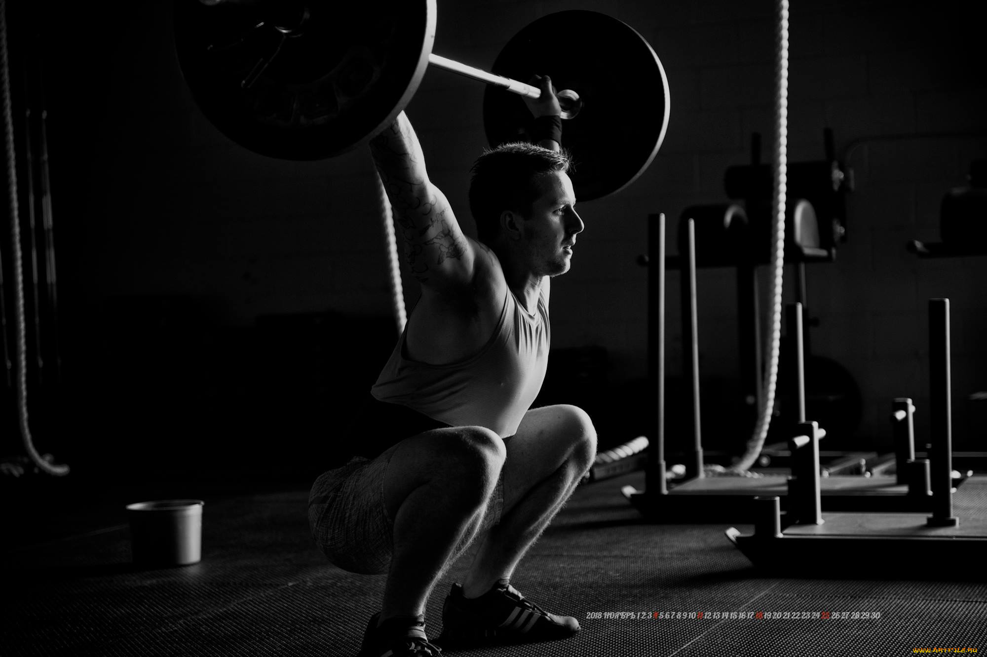 календари, спорт, спортзал, штанга, мужчина