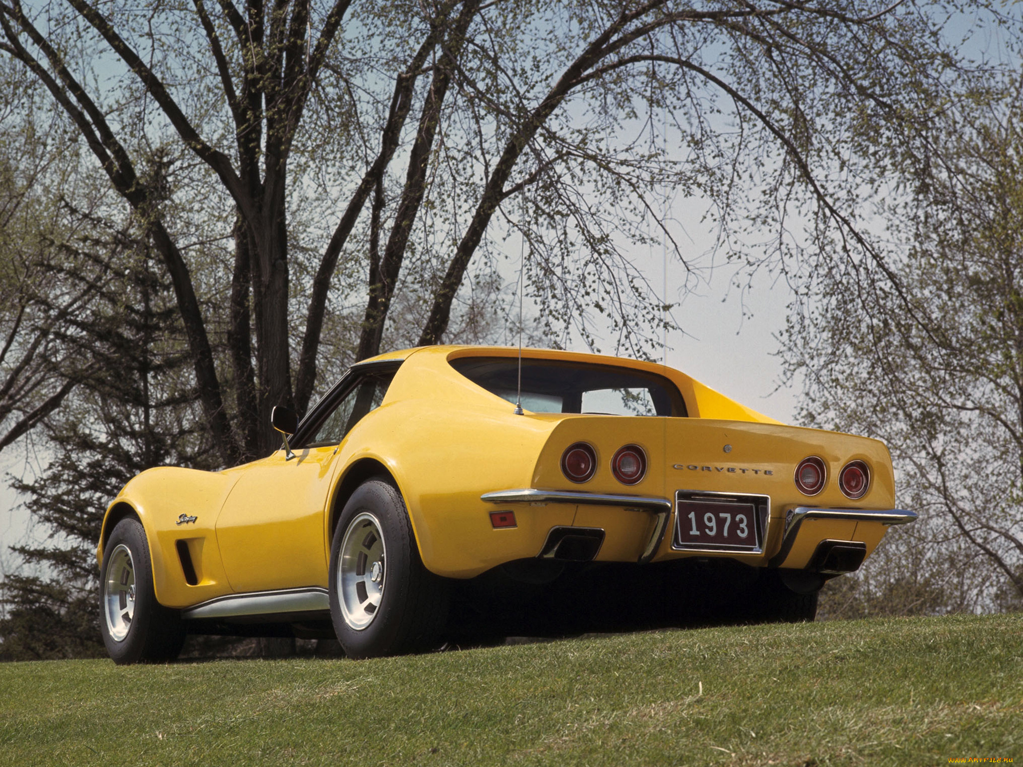 автомобили, corvette