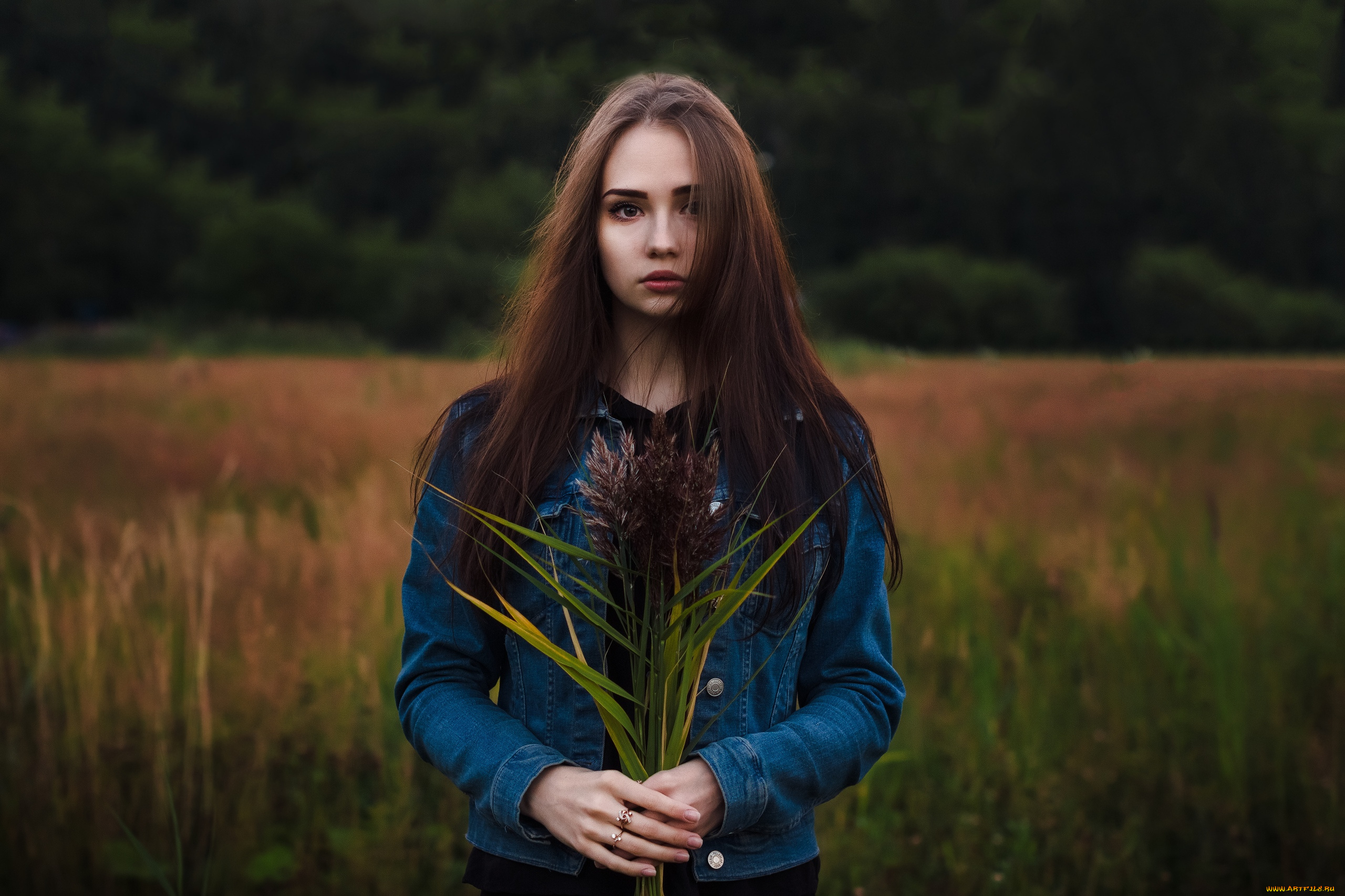 девушка, девушки, -unsort, , брюнетки, темноволосые, модель