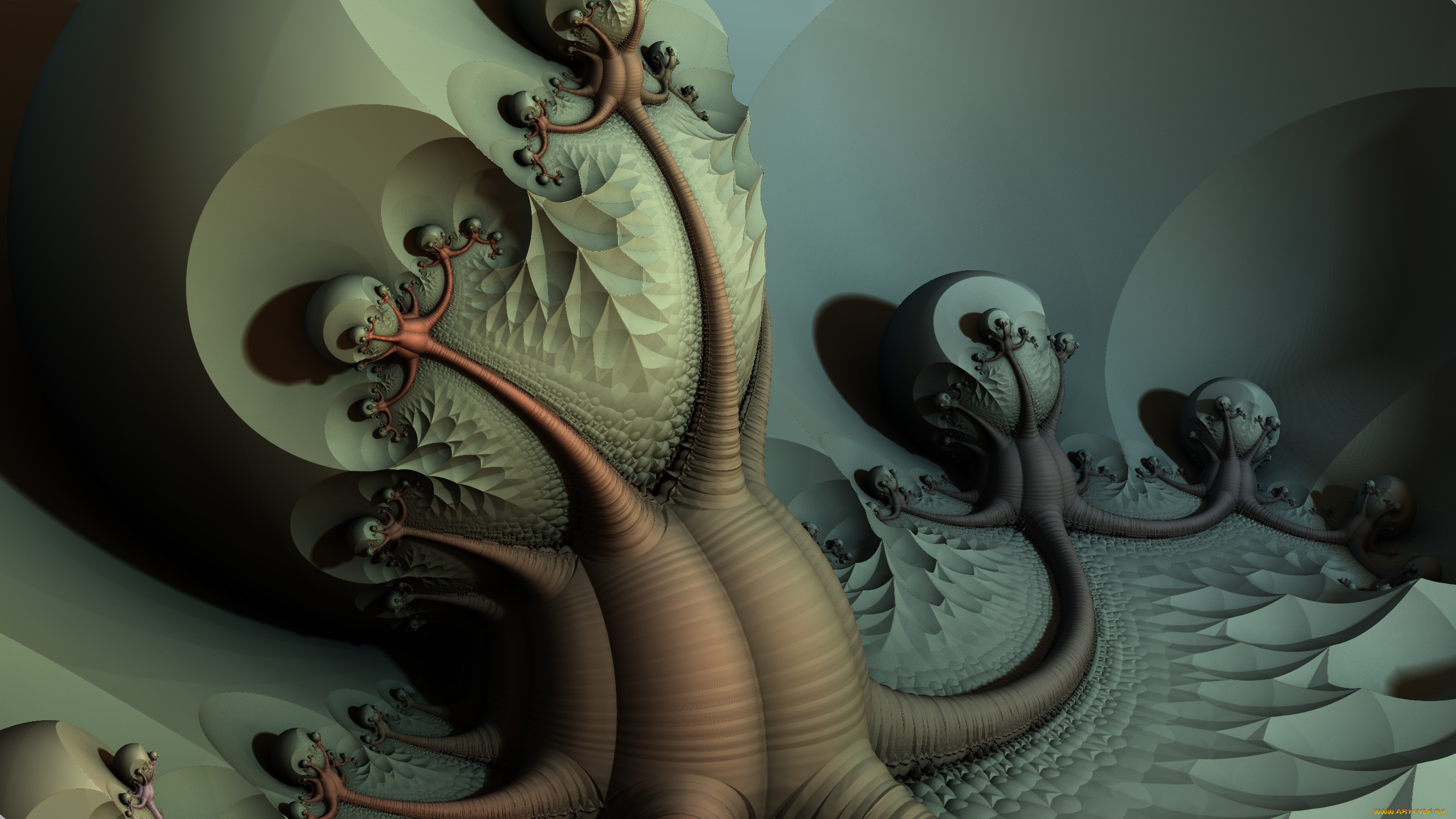 3д, графика, абстракция, , abstract, фон, цвет, узор