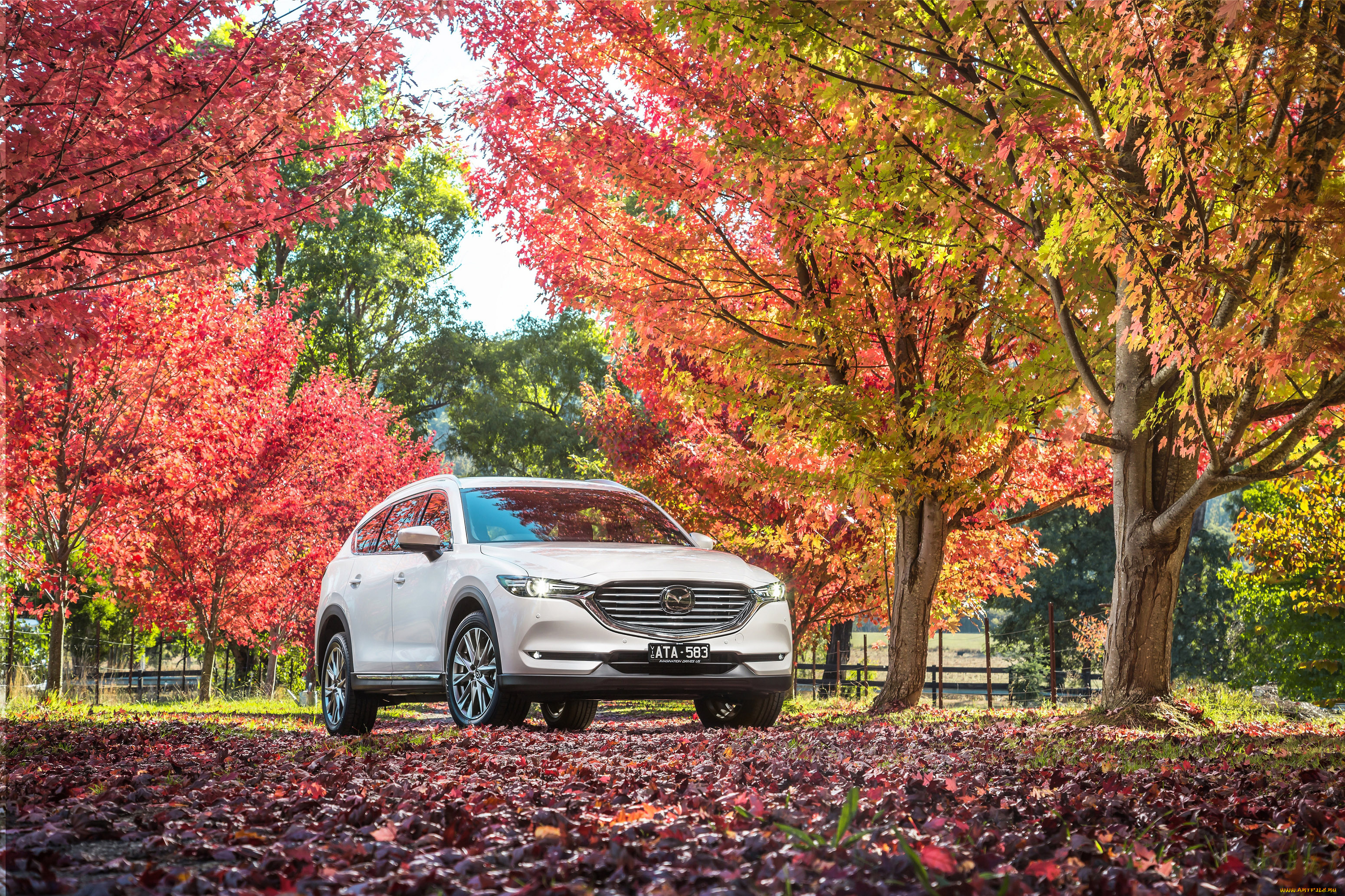 автомобили, mazda
