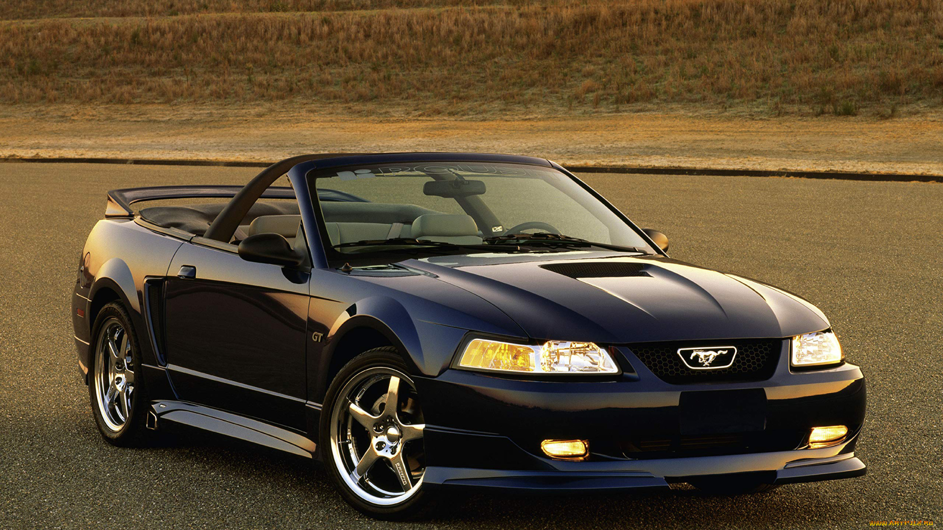 автомобили, mustang