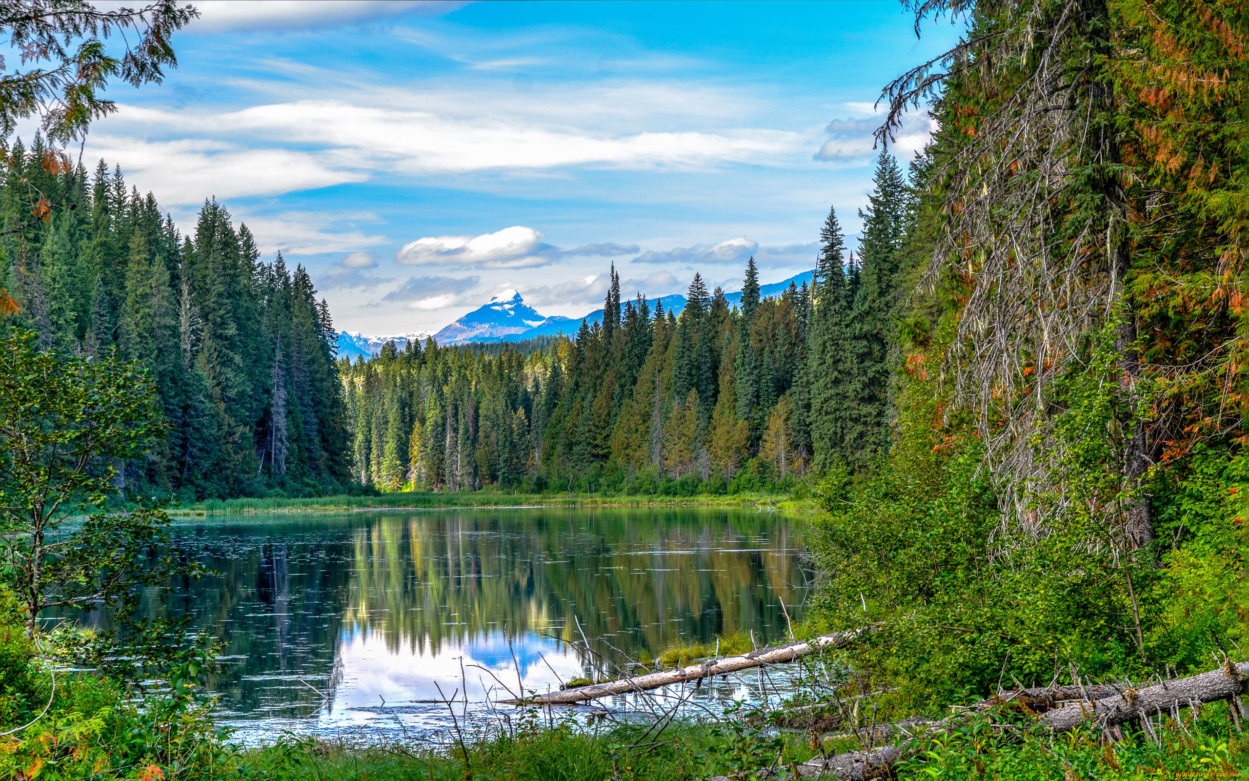 природа, реки, озера, горы, озеро, лес