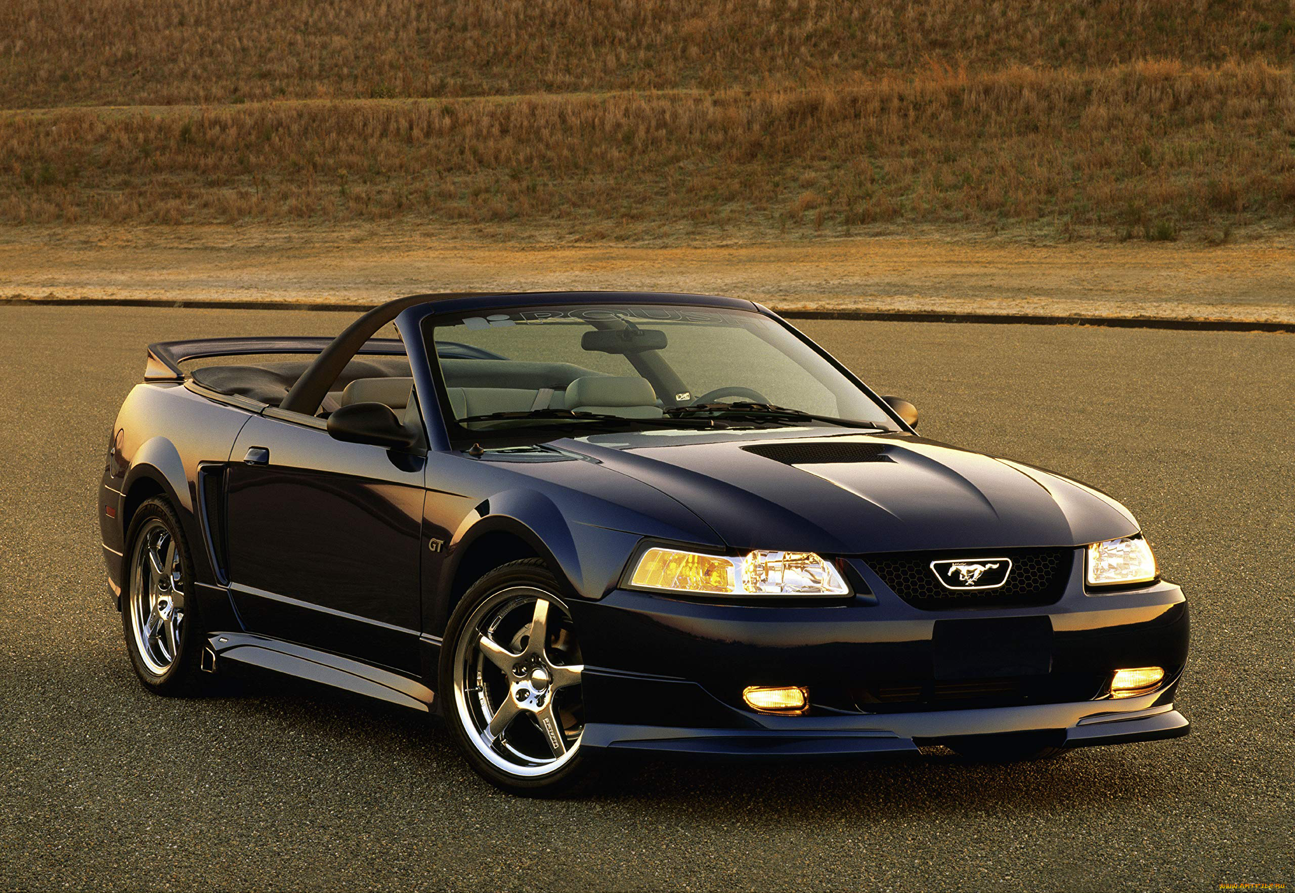 автомобили, mustang