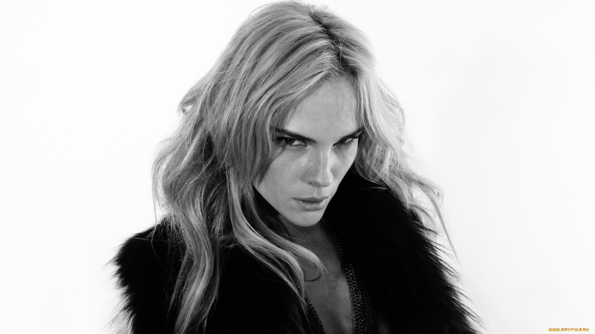 kate, nauta, девушки, -, лица, , портреты, kate, nauta, девушка, модель, актриса, красотка, взгляд, сексуальная, макияж, лицо, блондинка