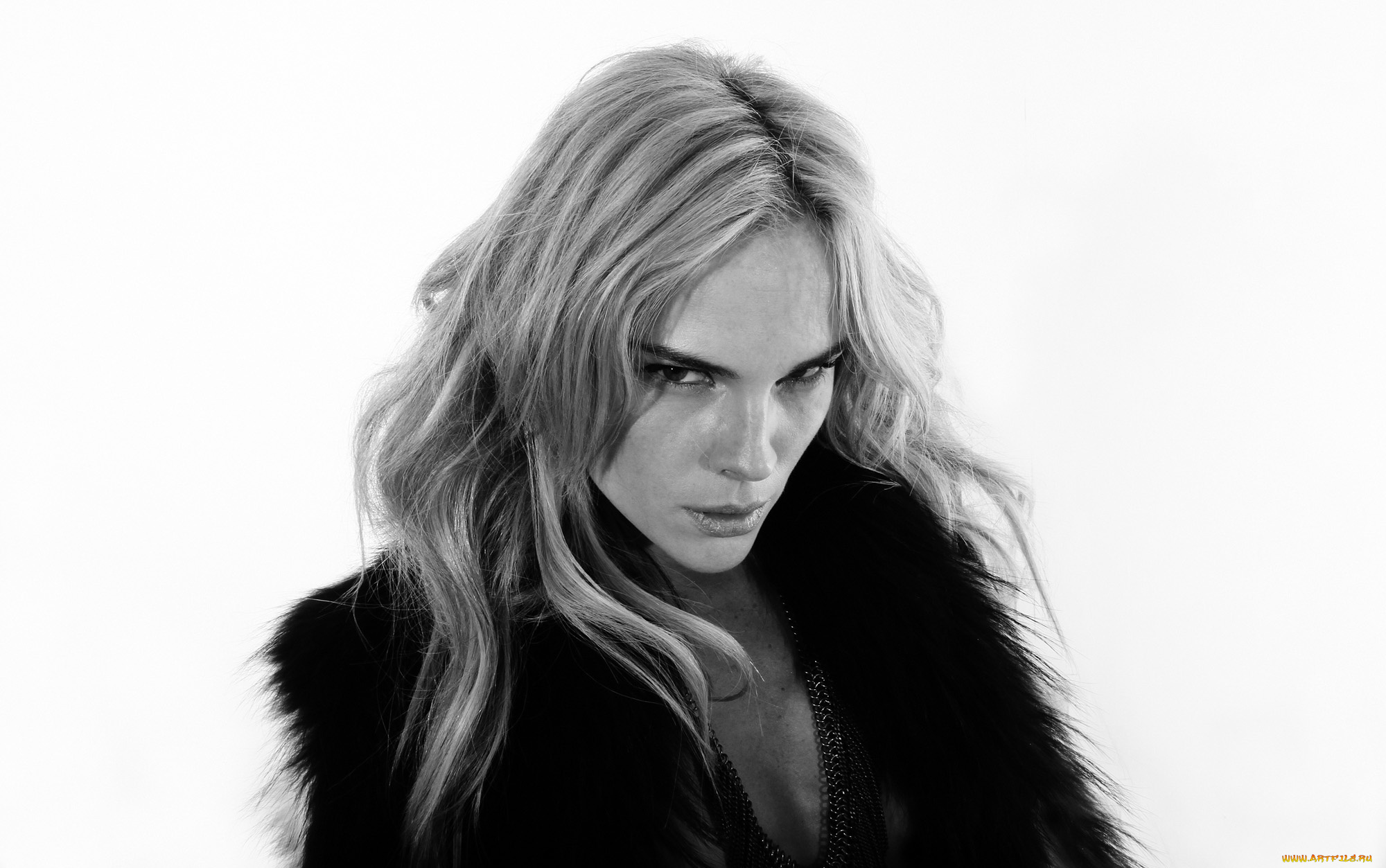 kate, nauta, девушки, -, лица, , портреты, kate, nauta, девушка, модель, актриса, красотка, взгляд, сексуальная, макияж, лицо, блондинка