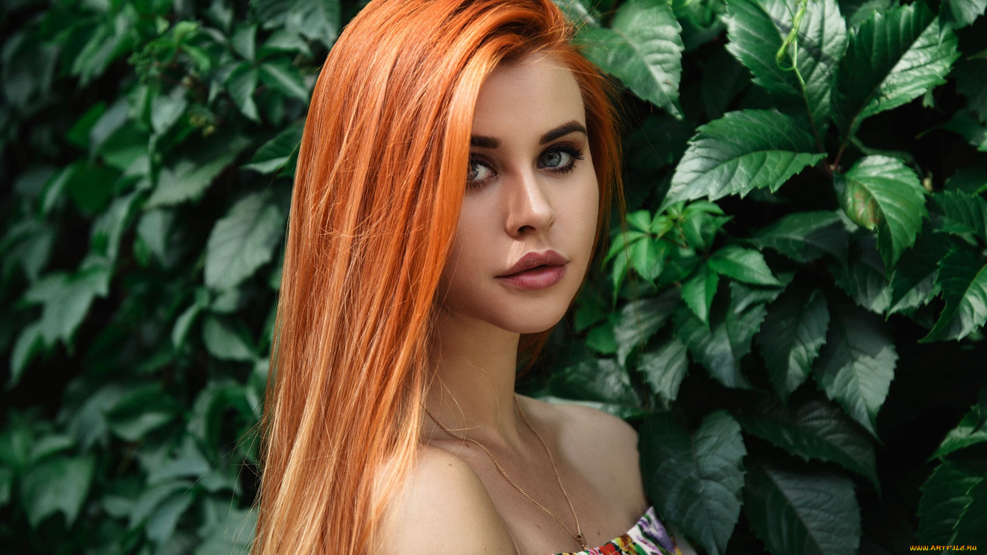 dana, bounty, девушки, девушка