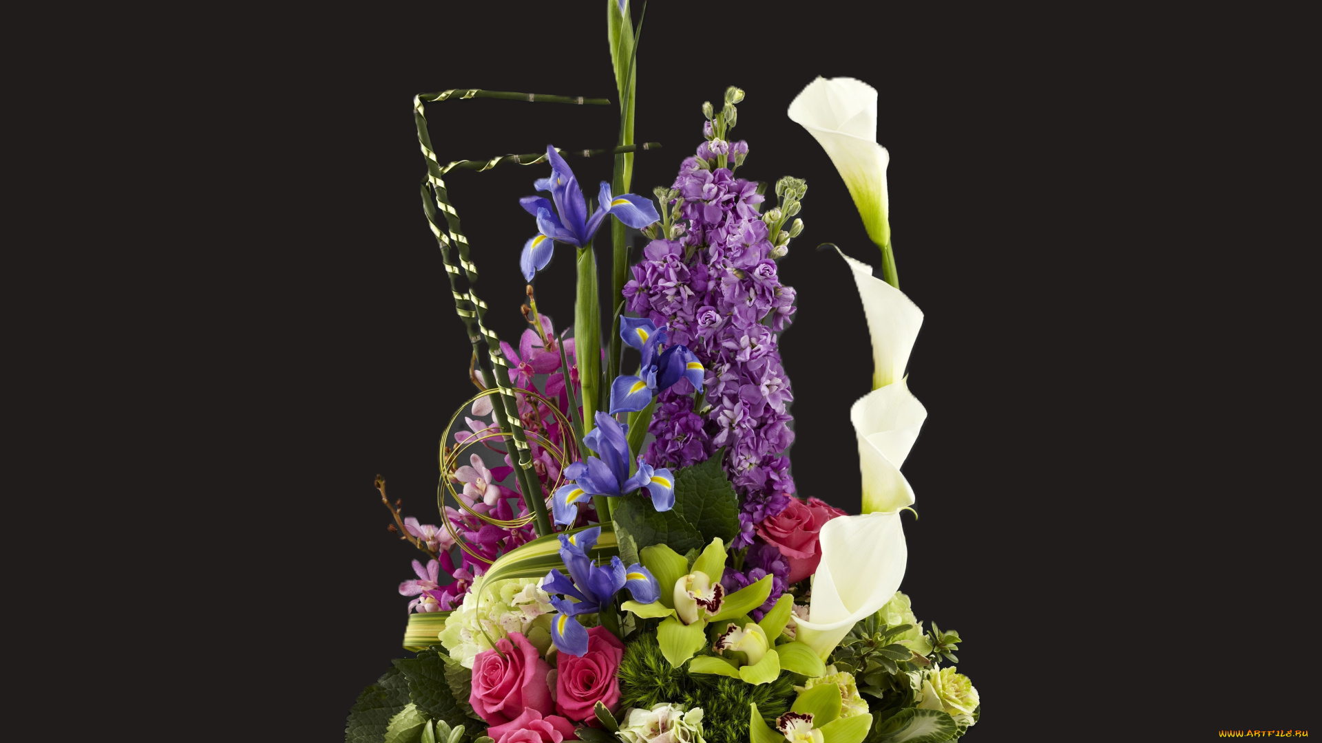 цветы, букеты, , композиции, букет