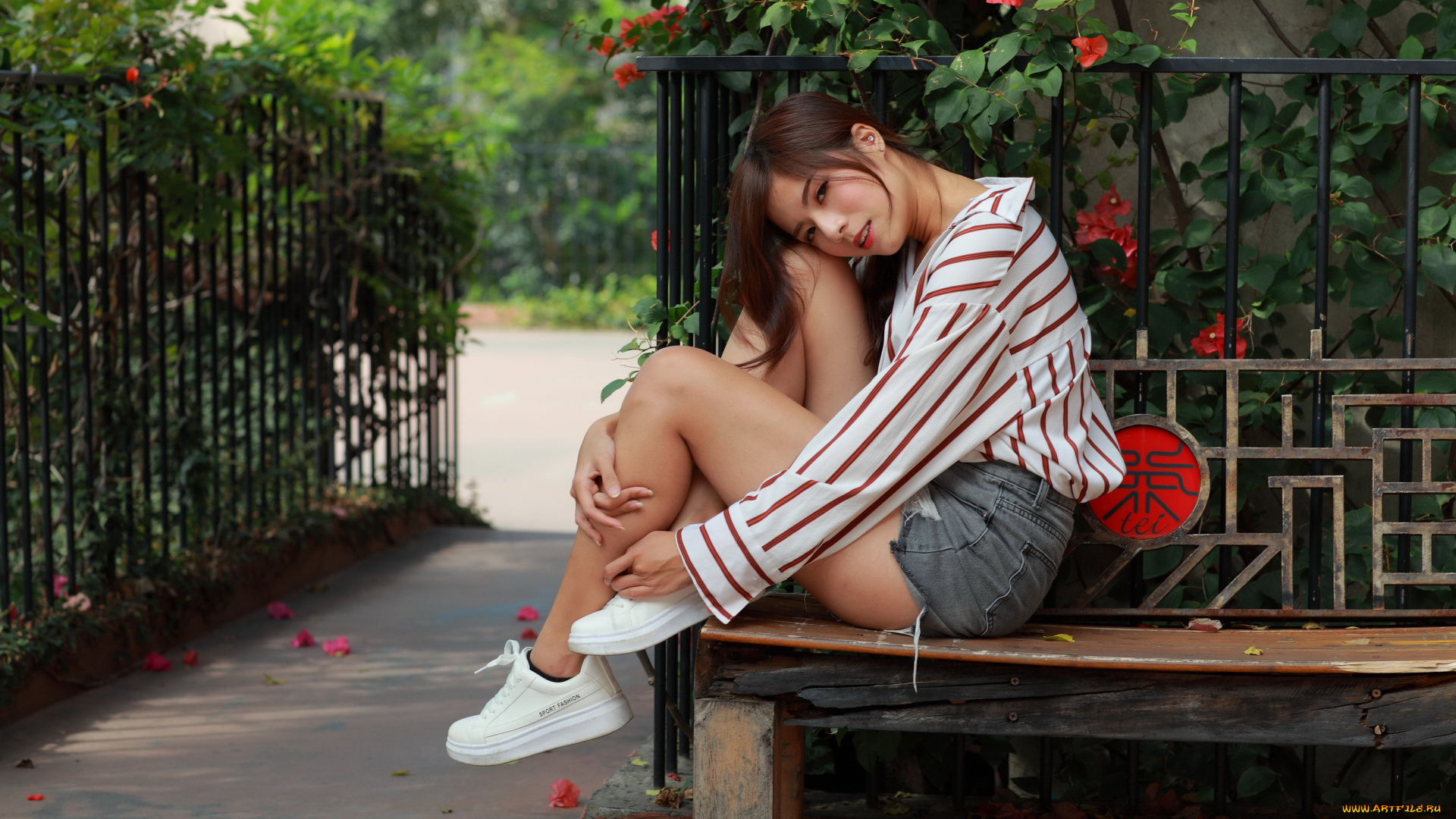 девушки, -, азиатки, девушка