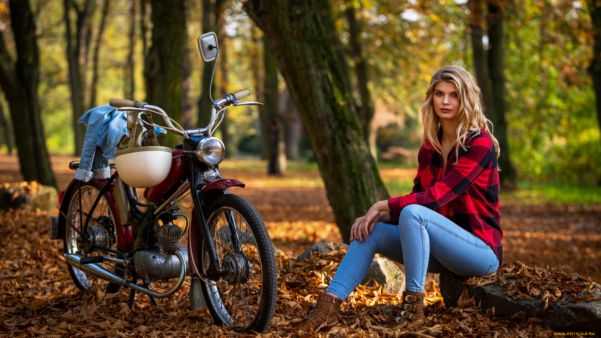 девушки, -, блондинки, , светловолосые, девушка