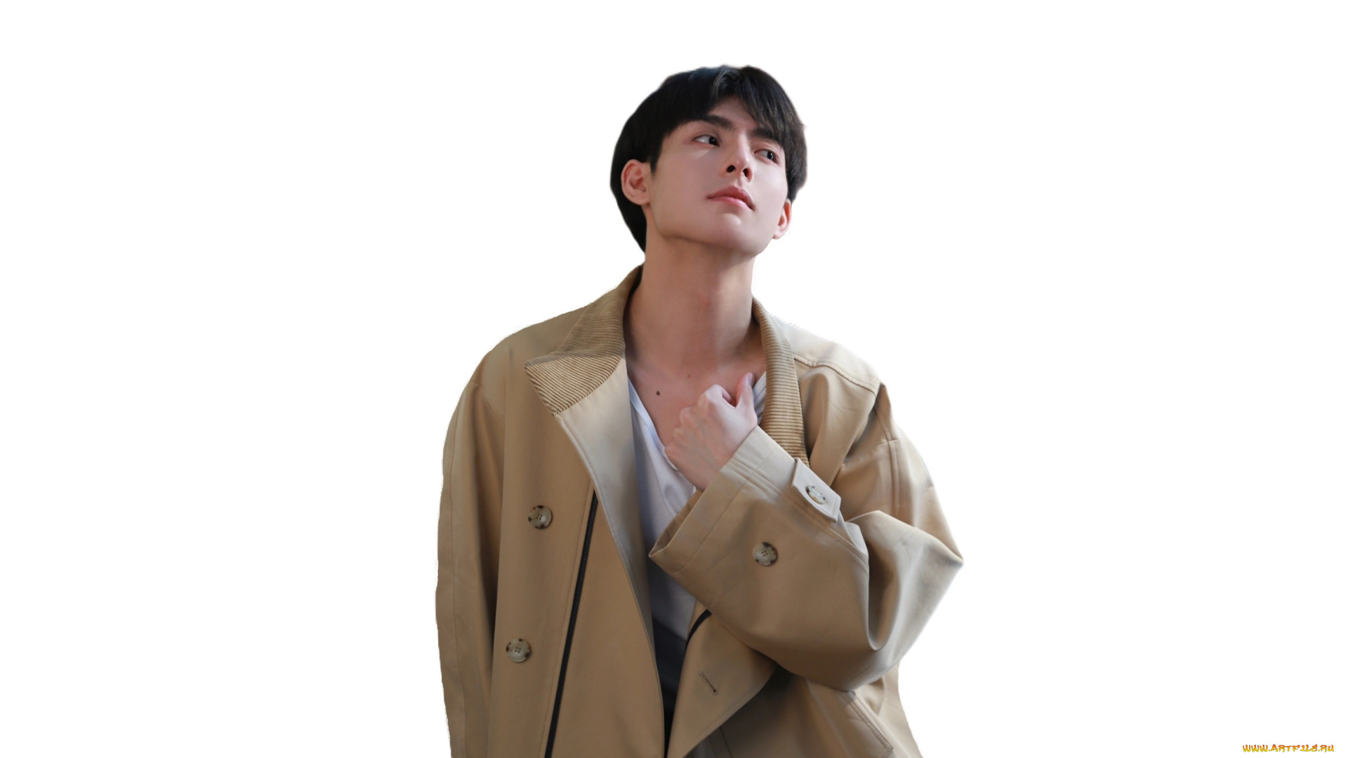 мужчины, wang, hao, xuan, ван, хао, сюань