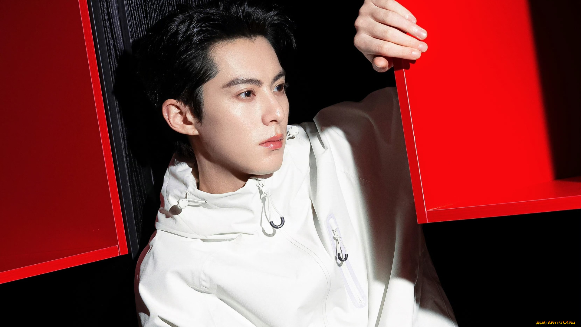 мужчины, wang, hedi, , dylan, wang, дилан, ван