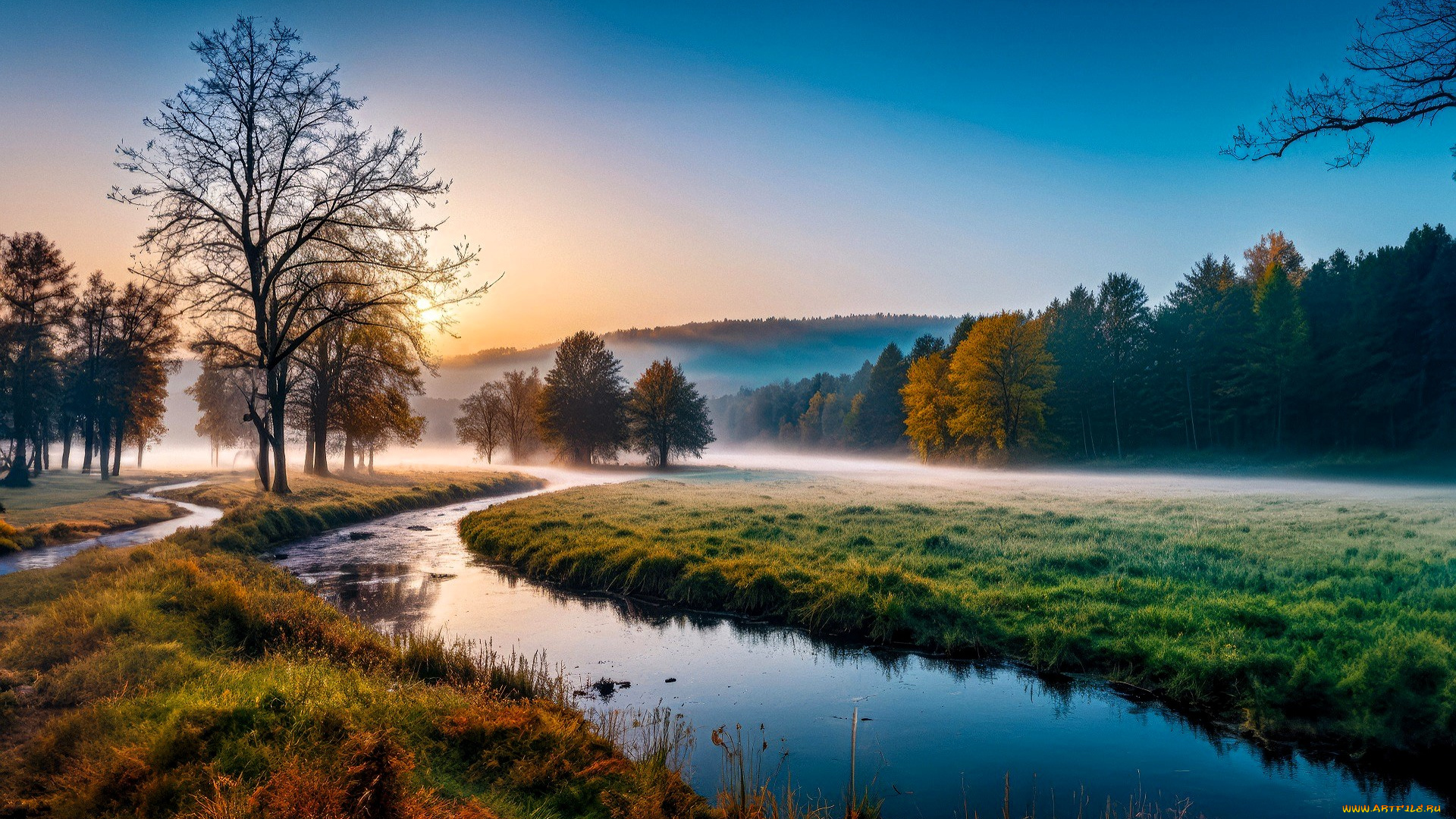 природа, реки, озера, лес, туман, река, осень