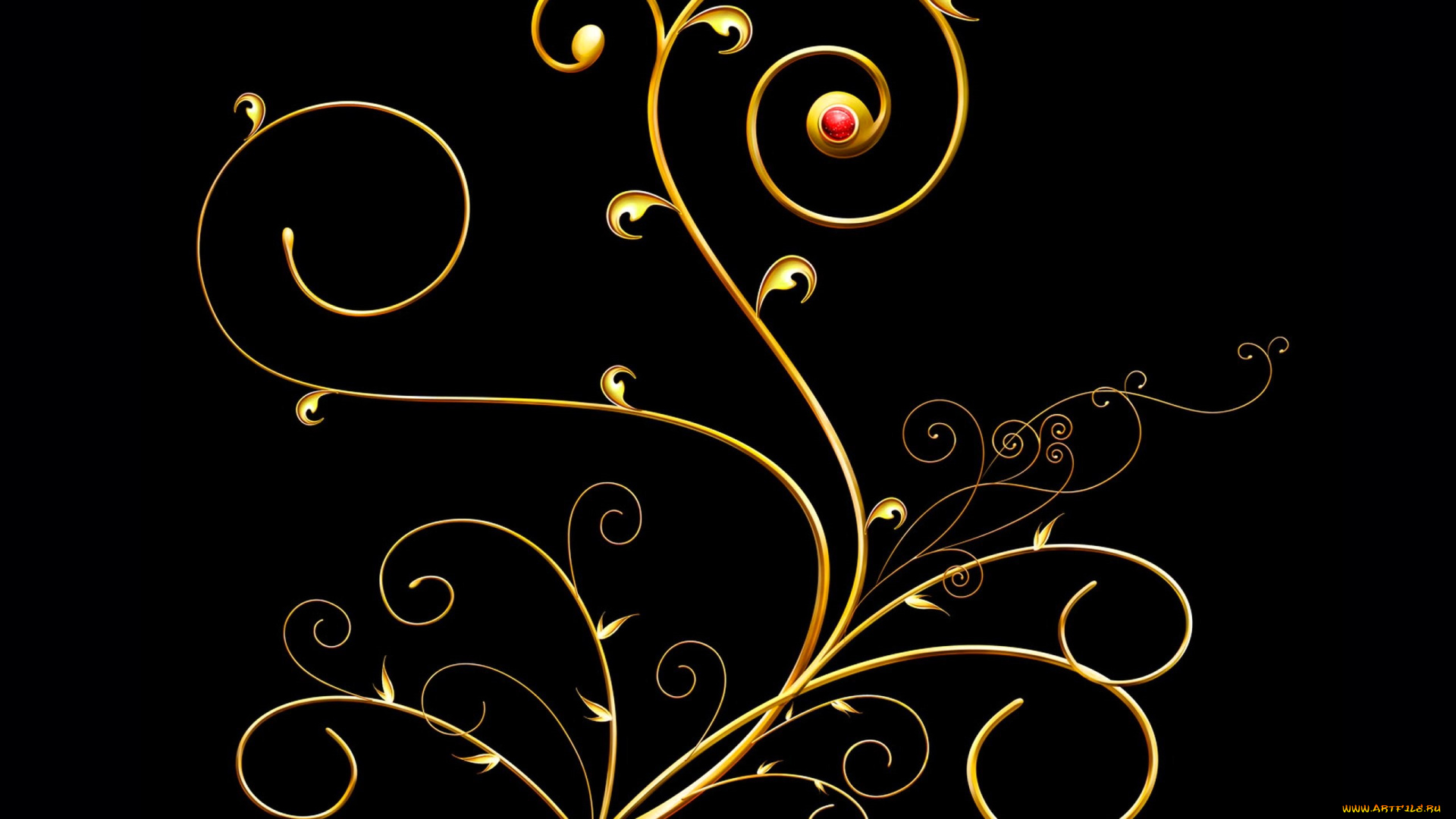 векторная, графика, -графика, , graphics, черный, фон, растение, завиток