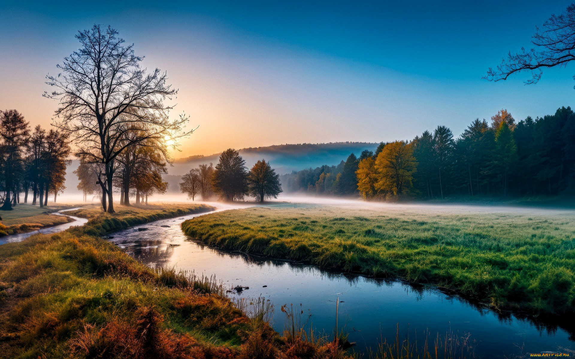 природа, реки, озера, лес, туман, река, осень