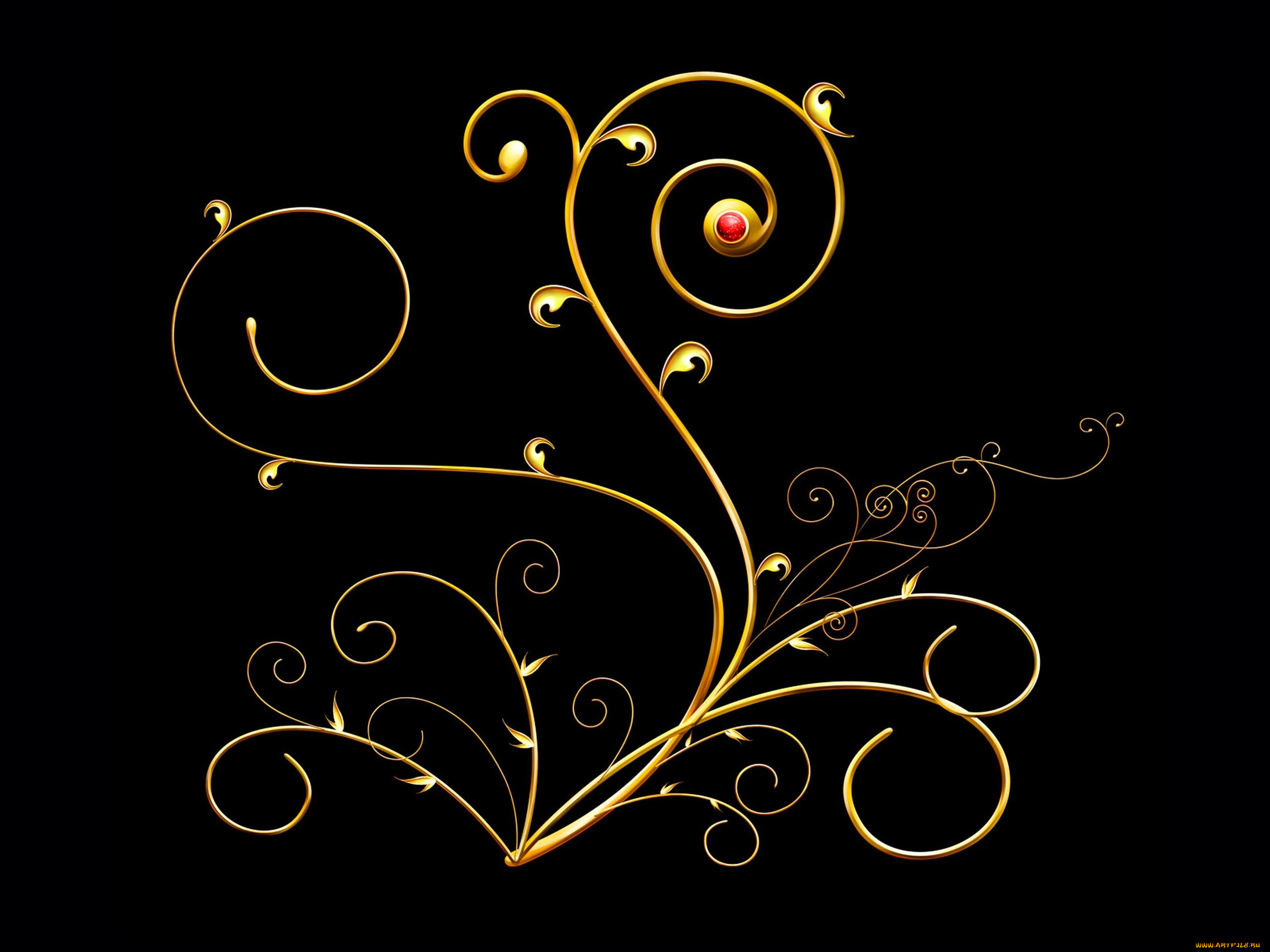 векторная, графика, -графика, , graphics, черный, фон, растение, завиток