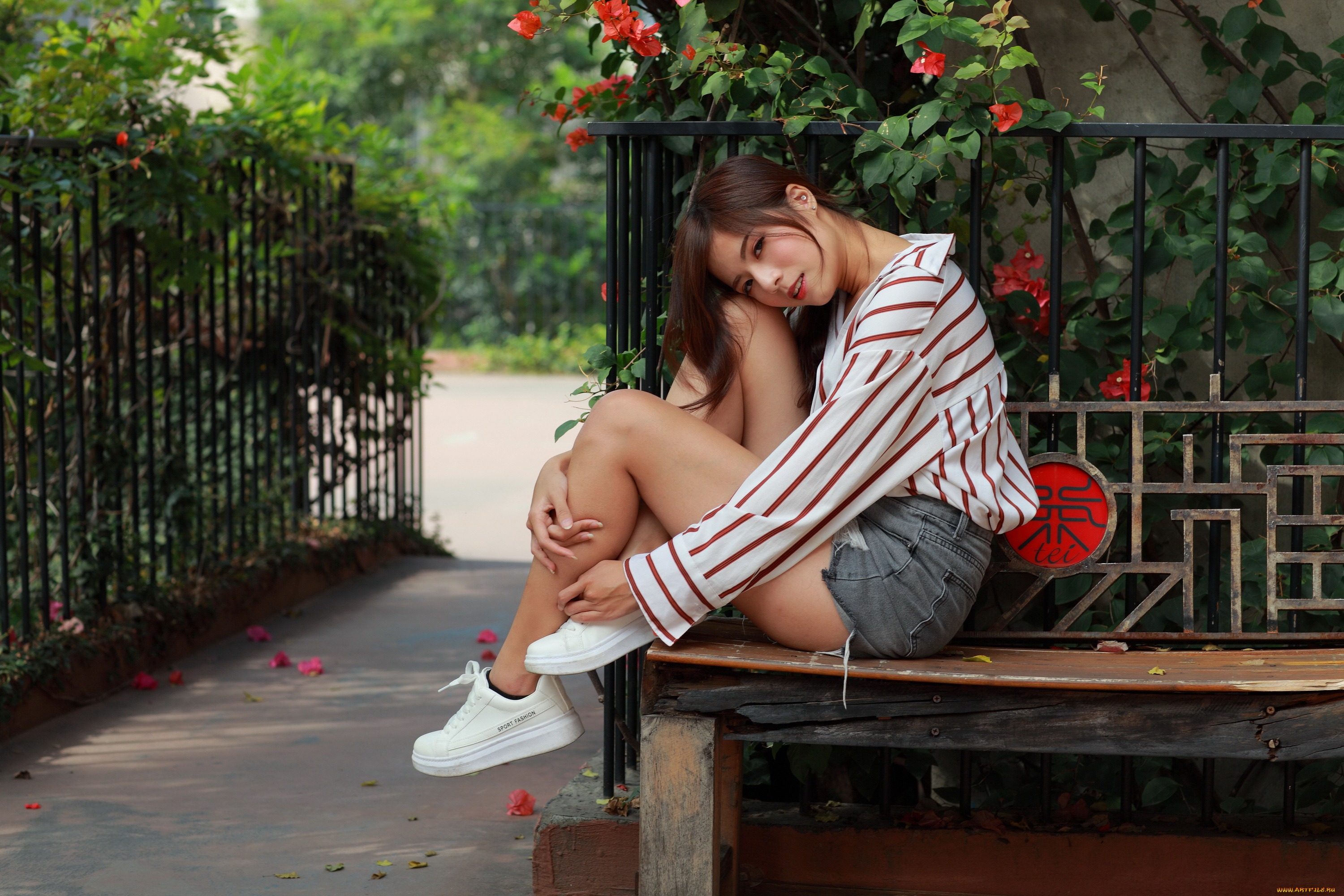 девушки, -, азиатки, девушка