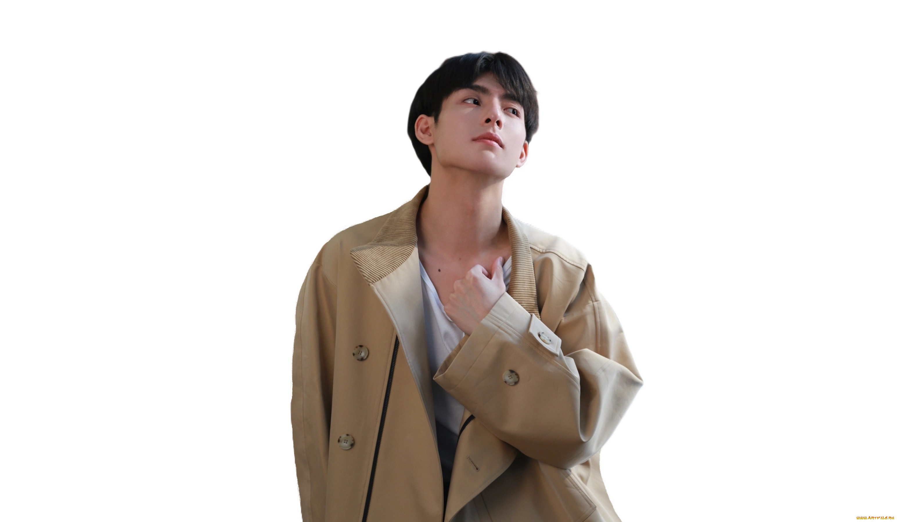 мужчины, wang, hao, xuan, ван, хао, сюань