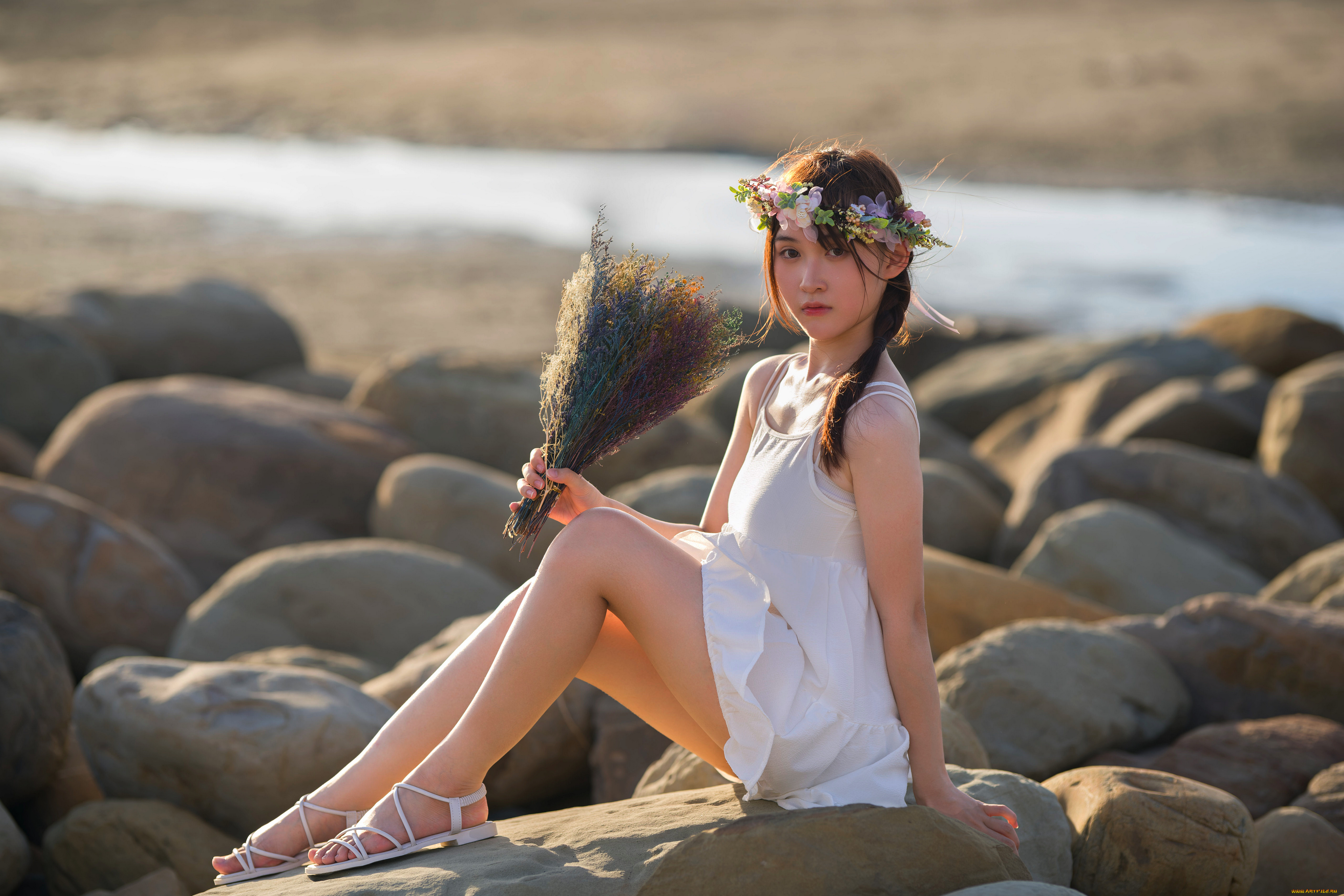 девушки, -, азиатки, девушка