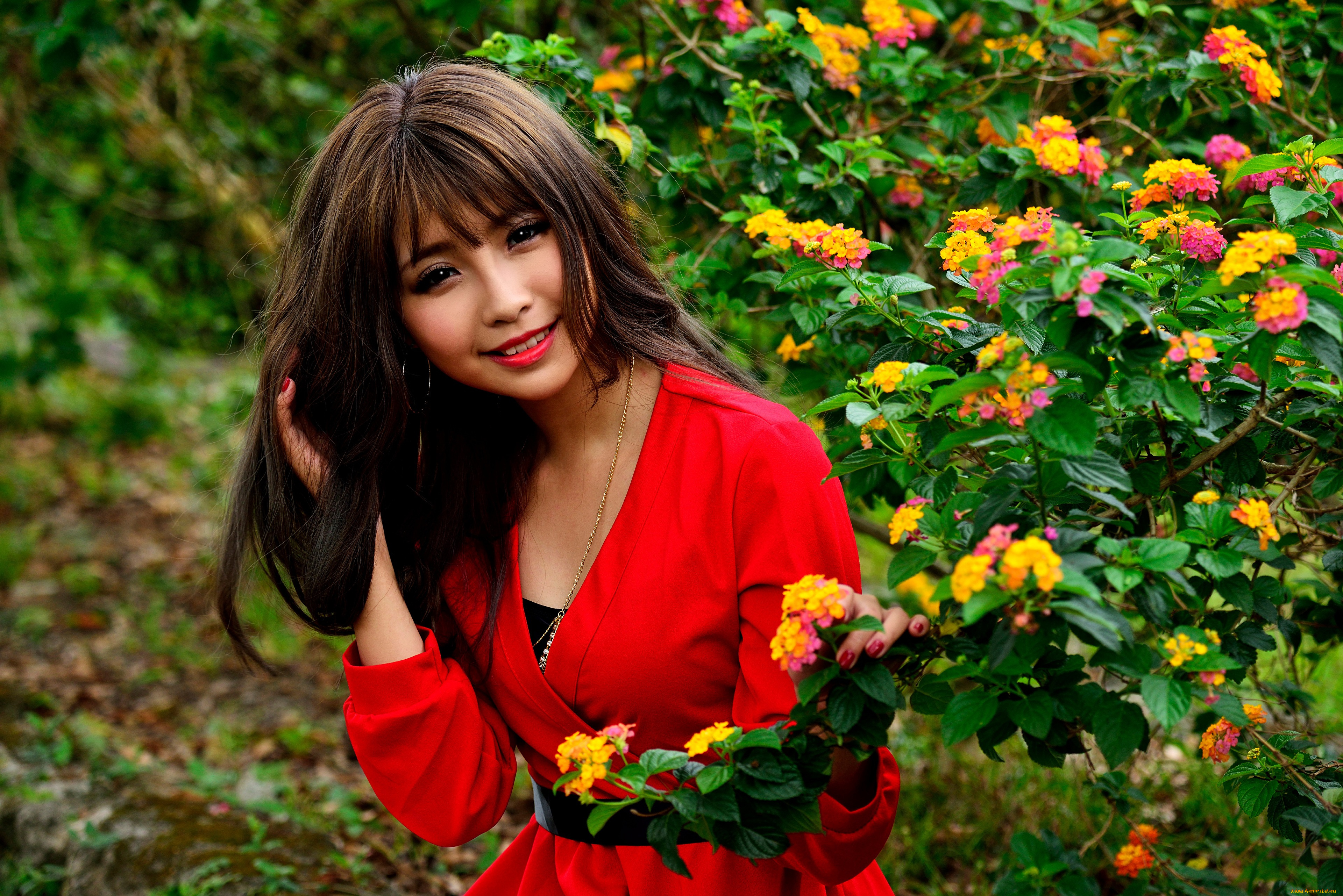 девушки, -, азиатки, девушка