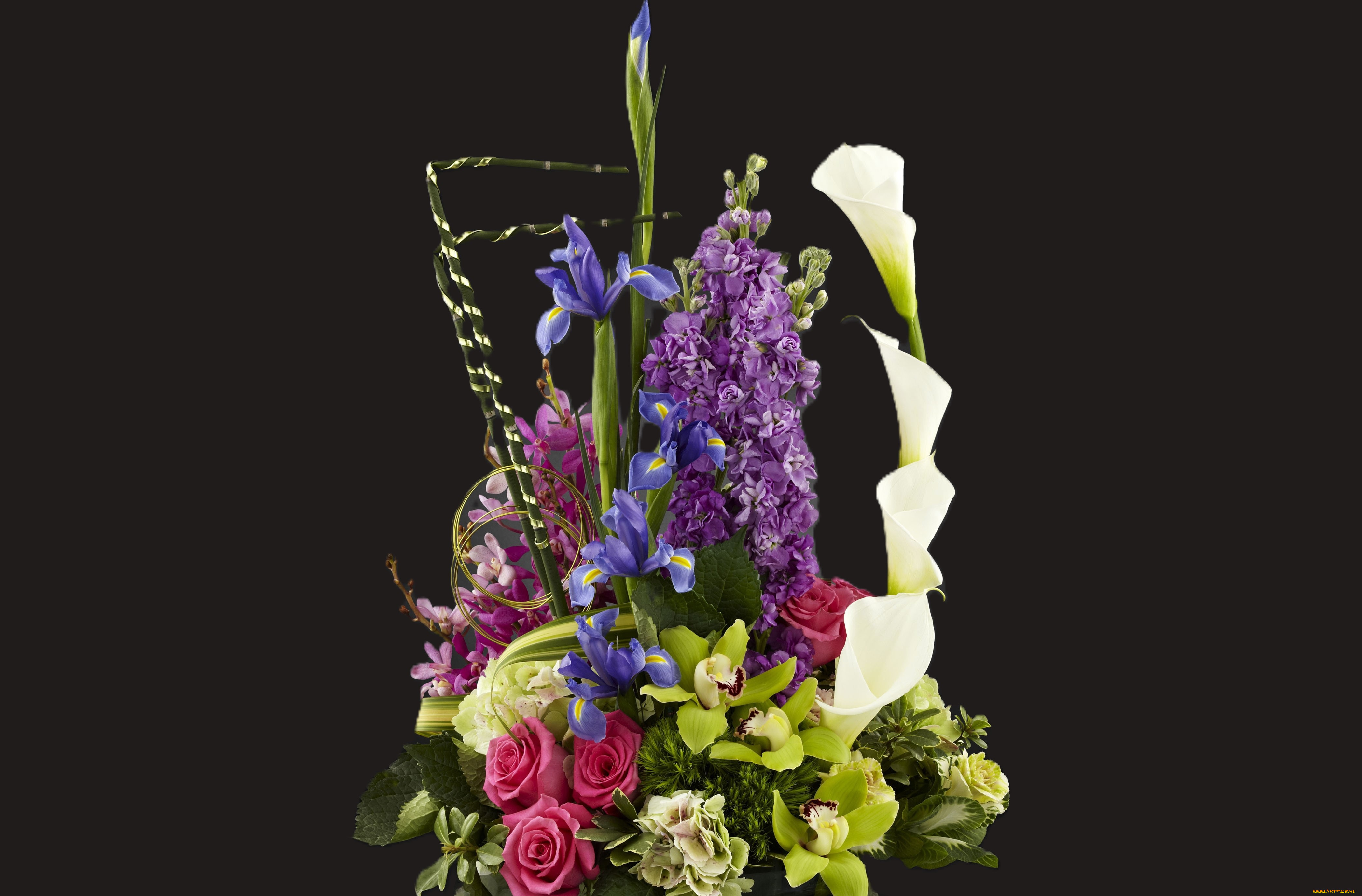 цветы, букеты, , композиции, букет