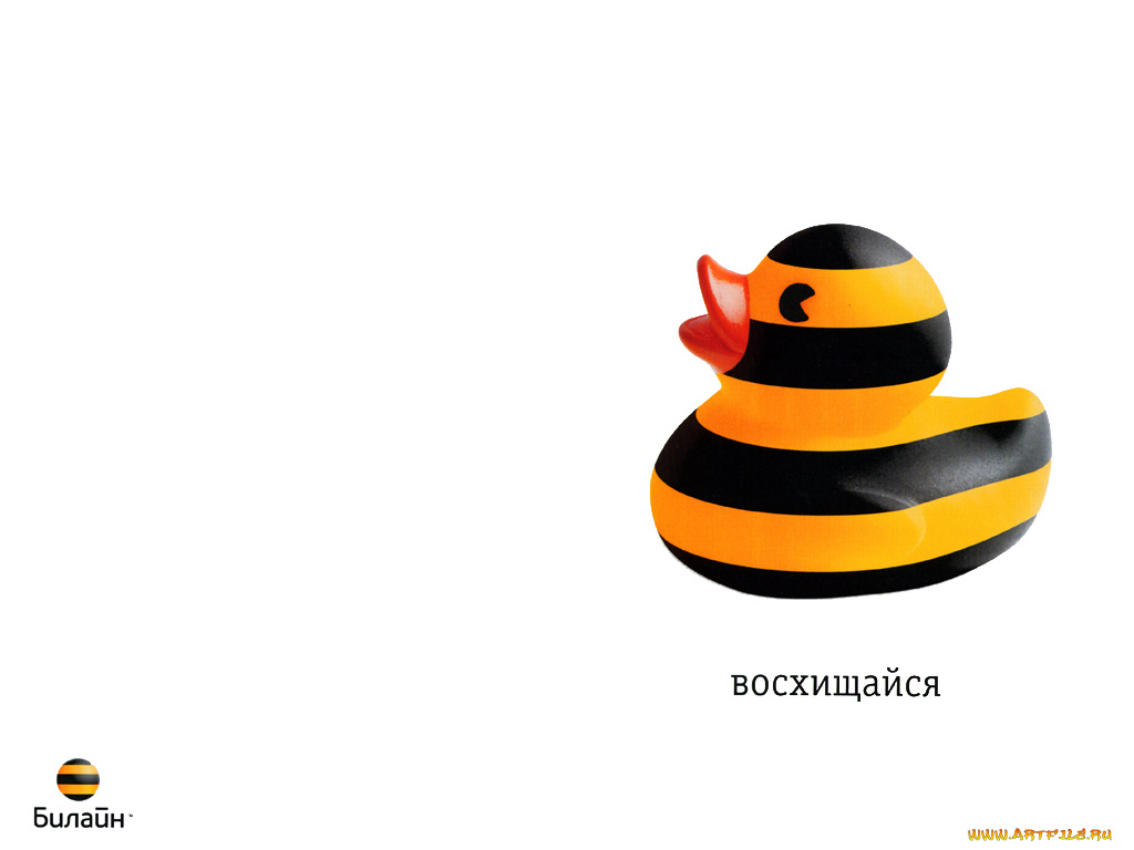 beeline, бренды