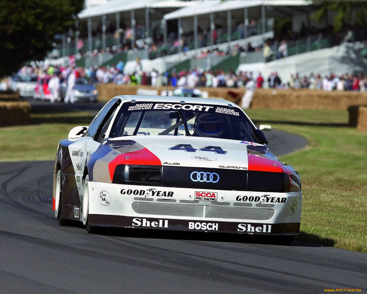 спорт, авторалли