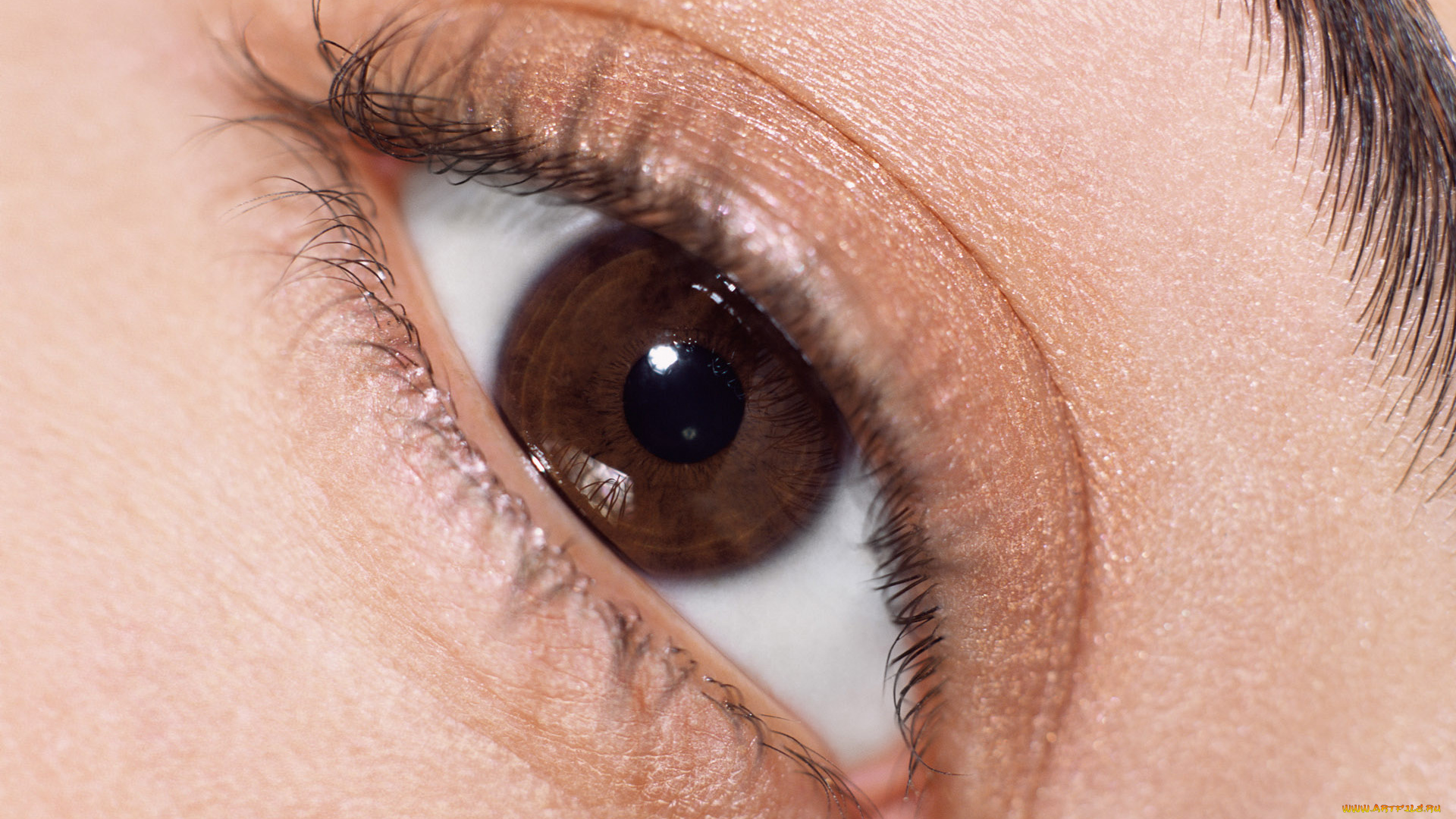 разное, глаза