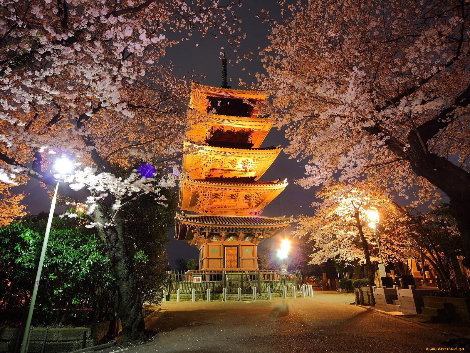 токио, города, Япония