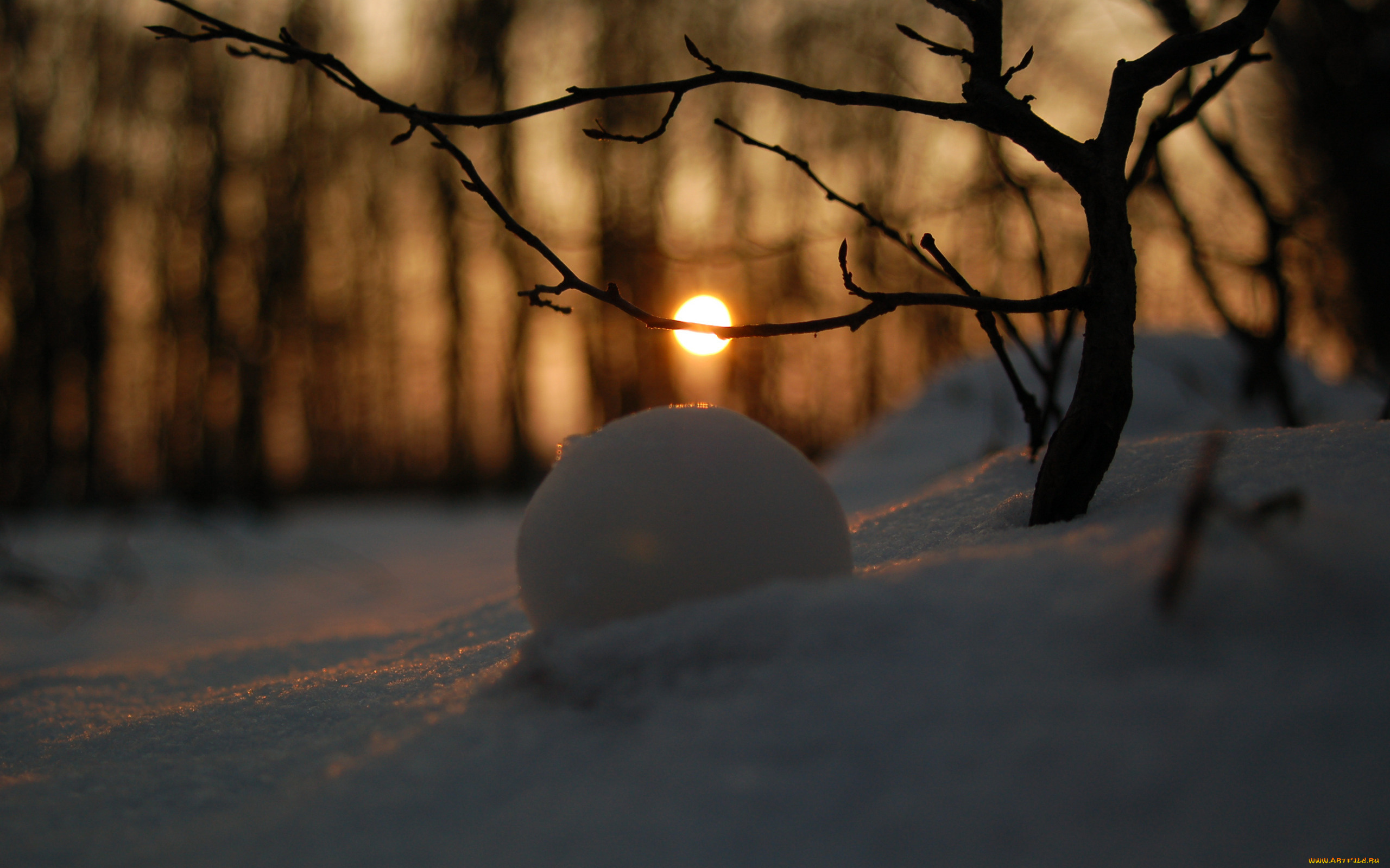 природа, зима