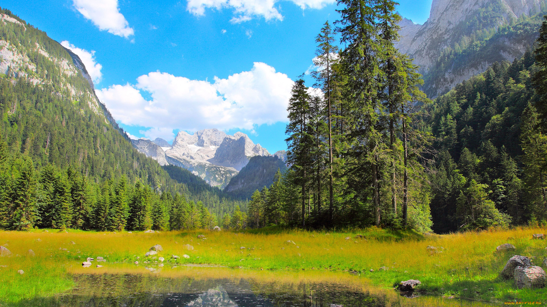 природа, пейзажи, горы, деревья