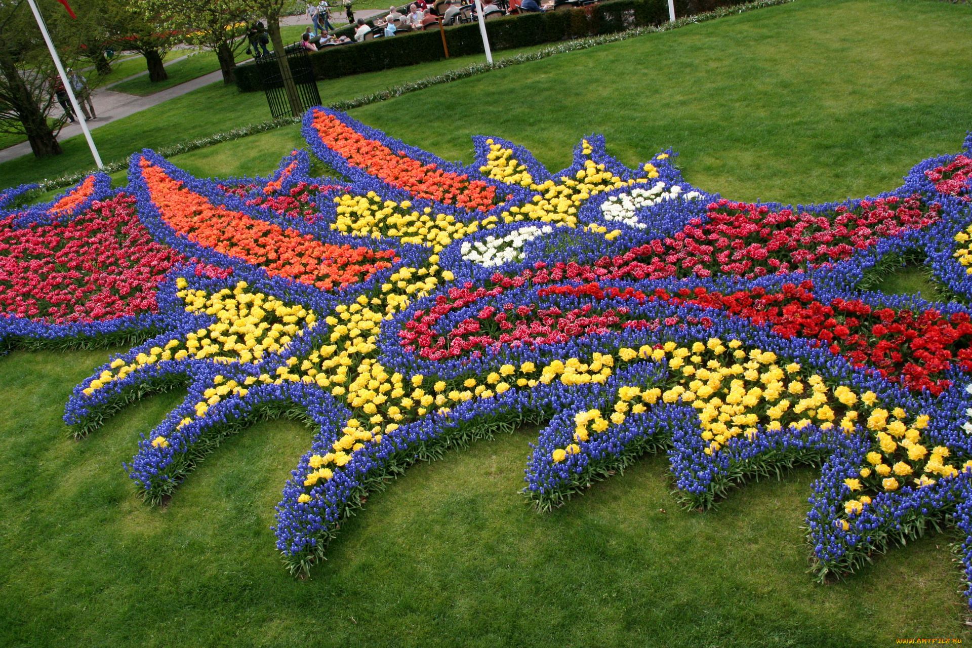 цветы, разные, вместе, оранжевые, синие, красные, желтые