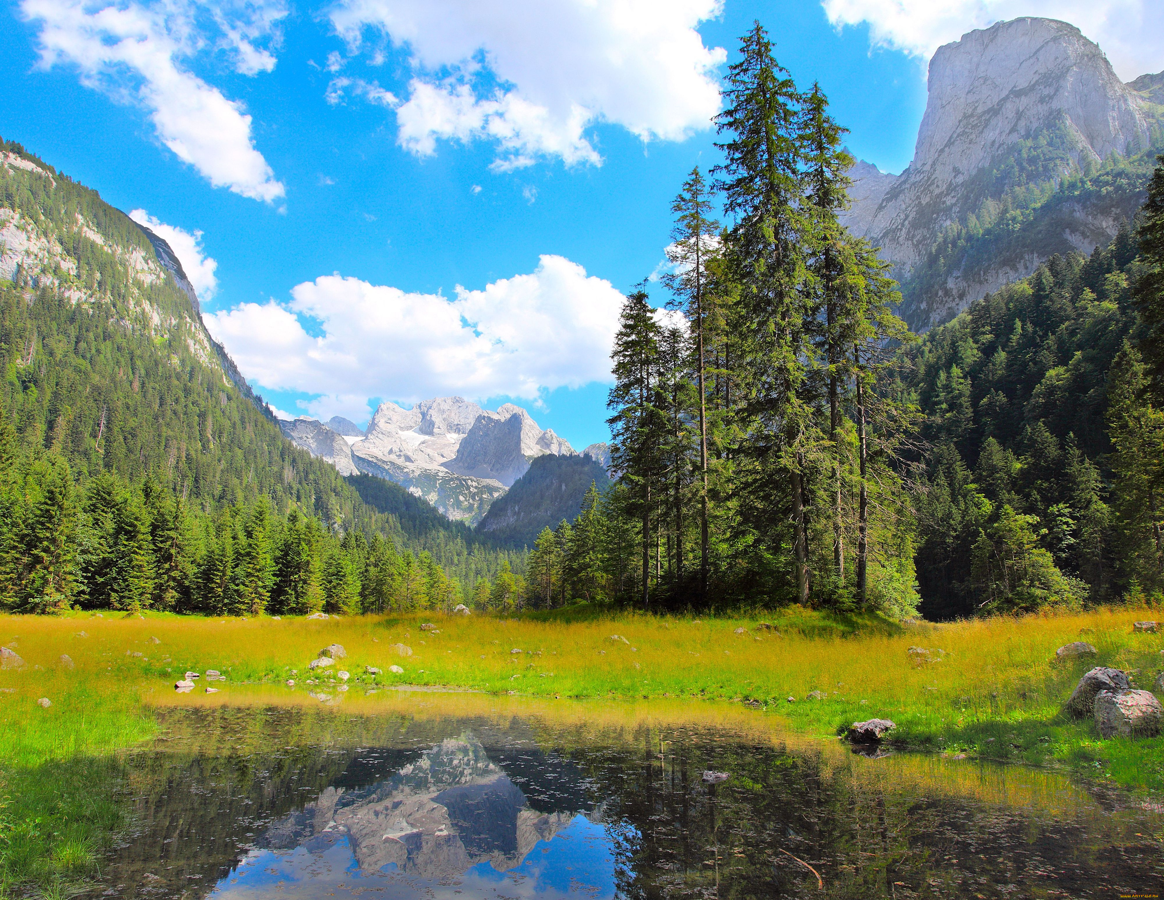 природа, пейзажи, горы, деревья