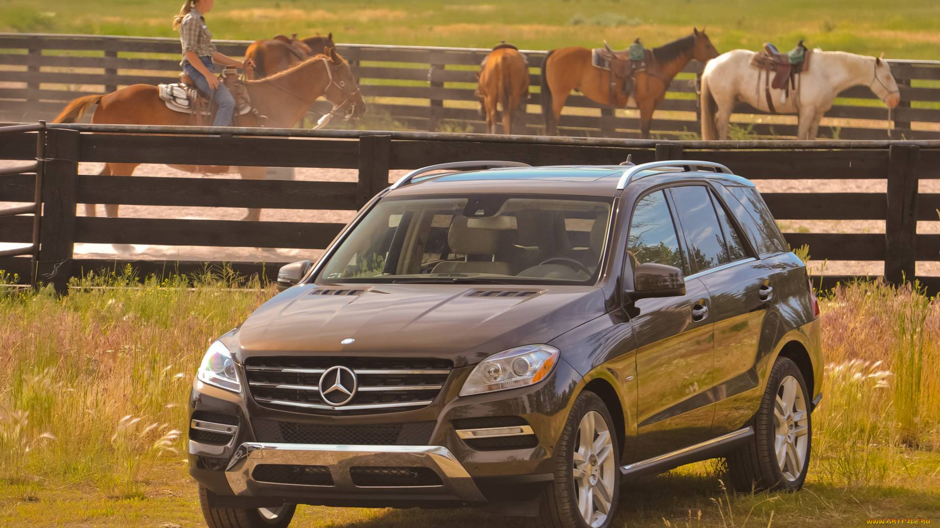 автомобили, mercedes, benz, mercedes-benz